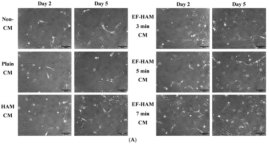 Ischemic Rescue Potential of Conditioned Medium Derived from