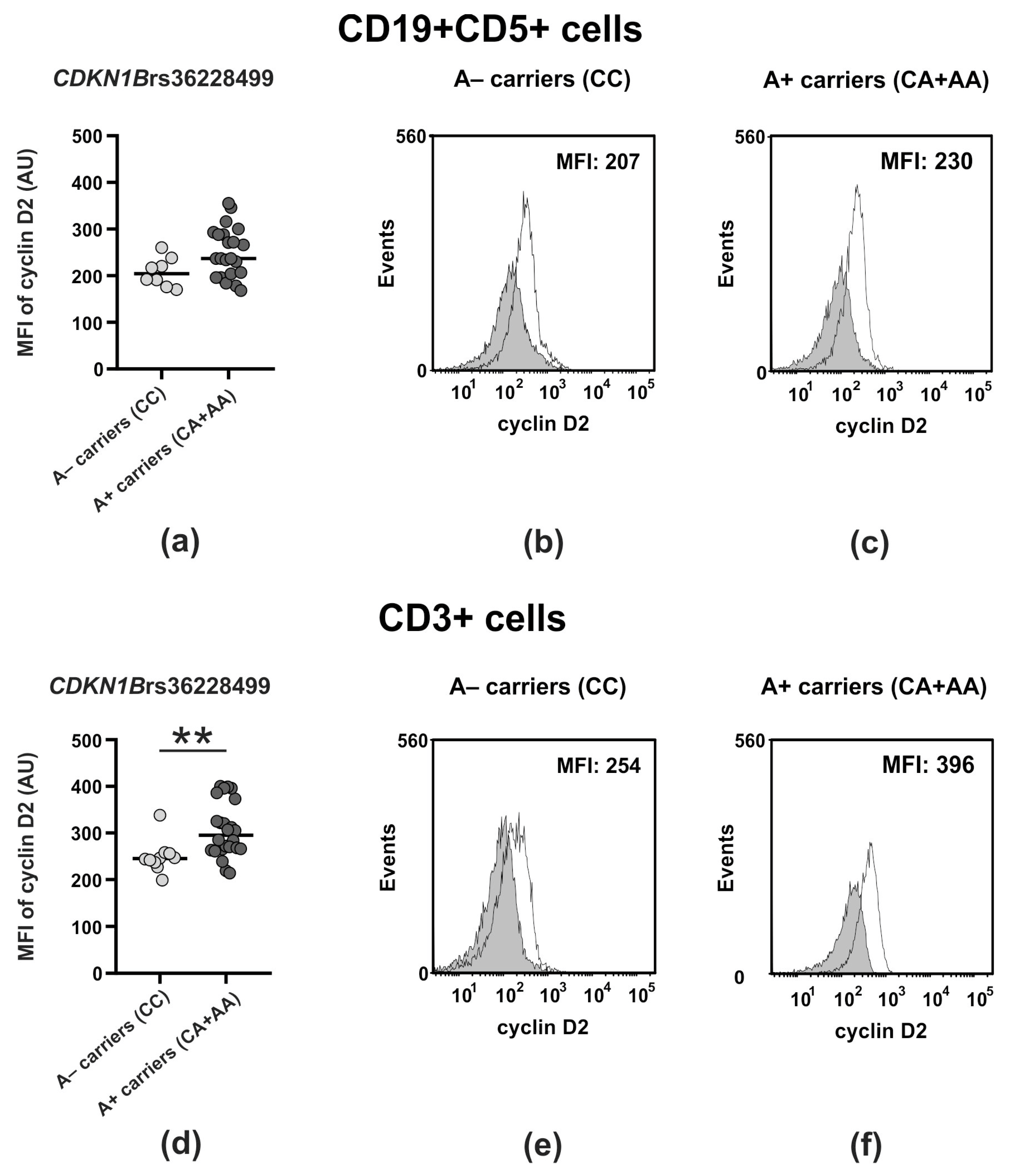 Ijms 25 11705 g002 Ijms 25 11705 g002