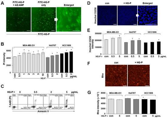 Autocrine Motility Factor and Its Peptide Derivative Inhibit