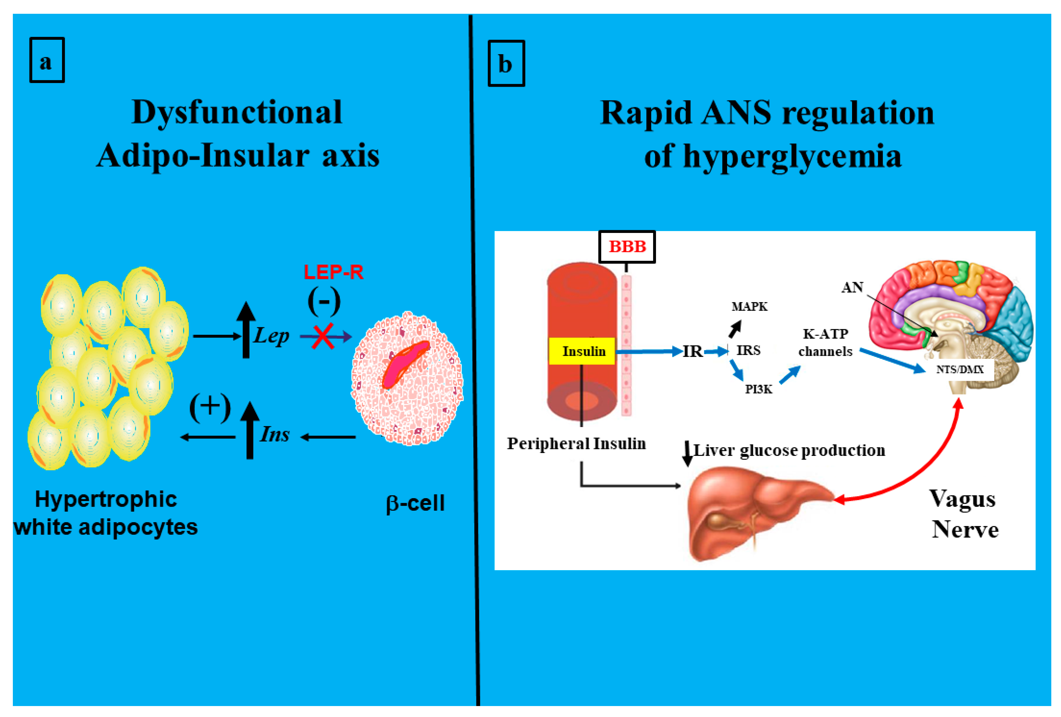 Ijms 25 11741 g003 Ijms 25 11741 g003