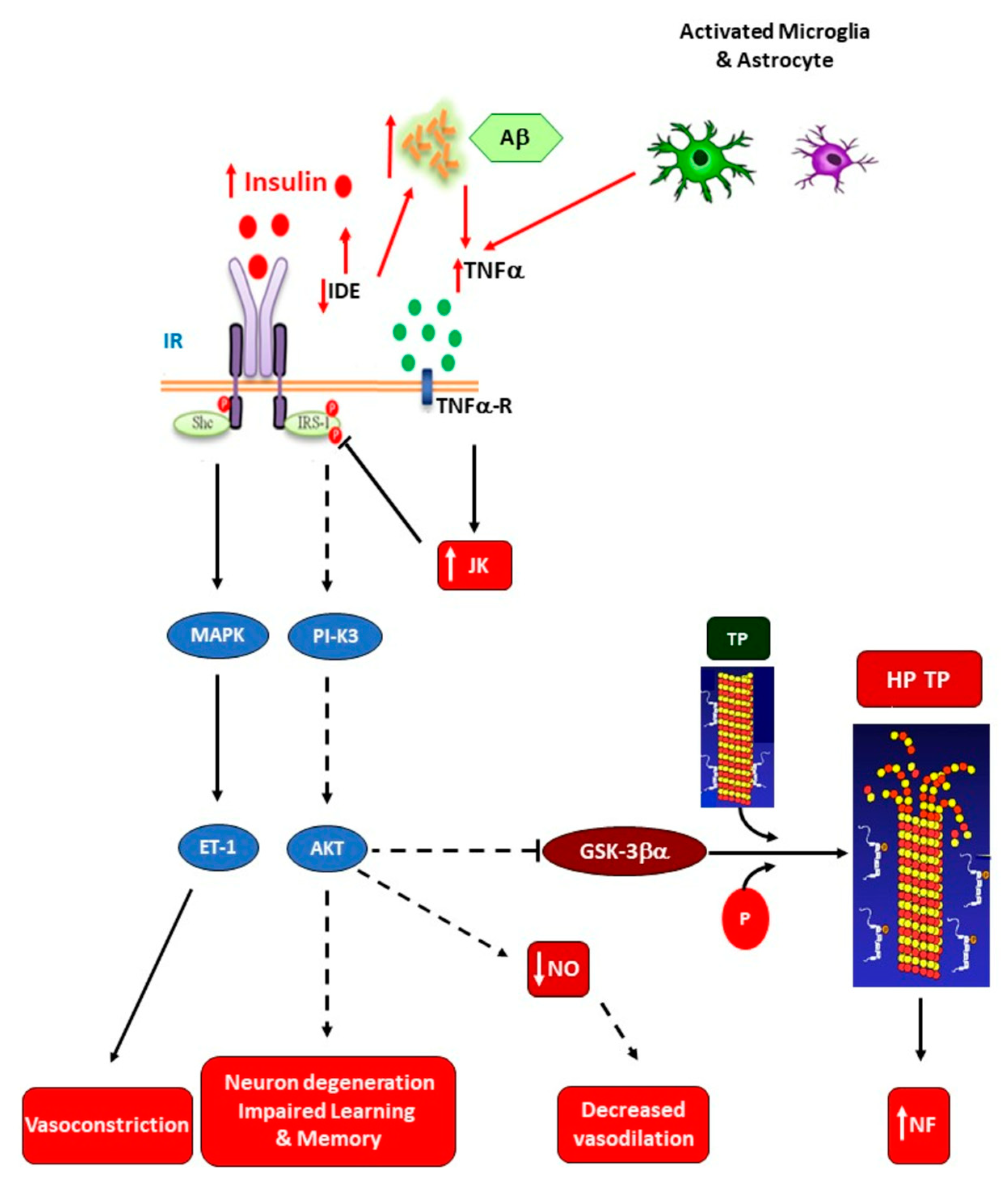Ijms 25 11741 g004 Ijms 25 11741 g004