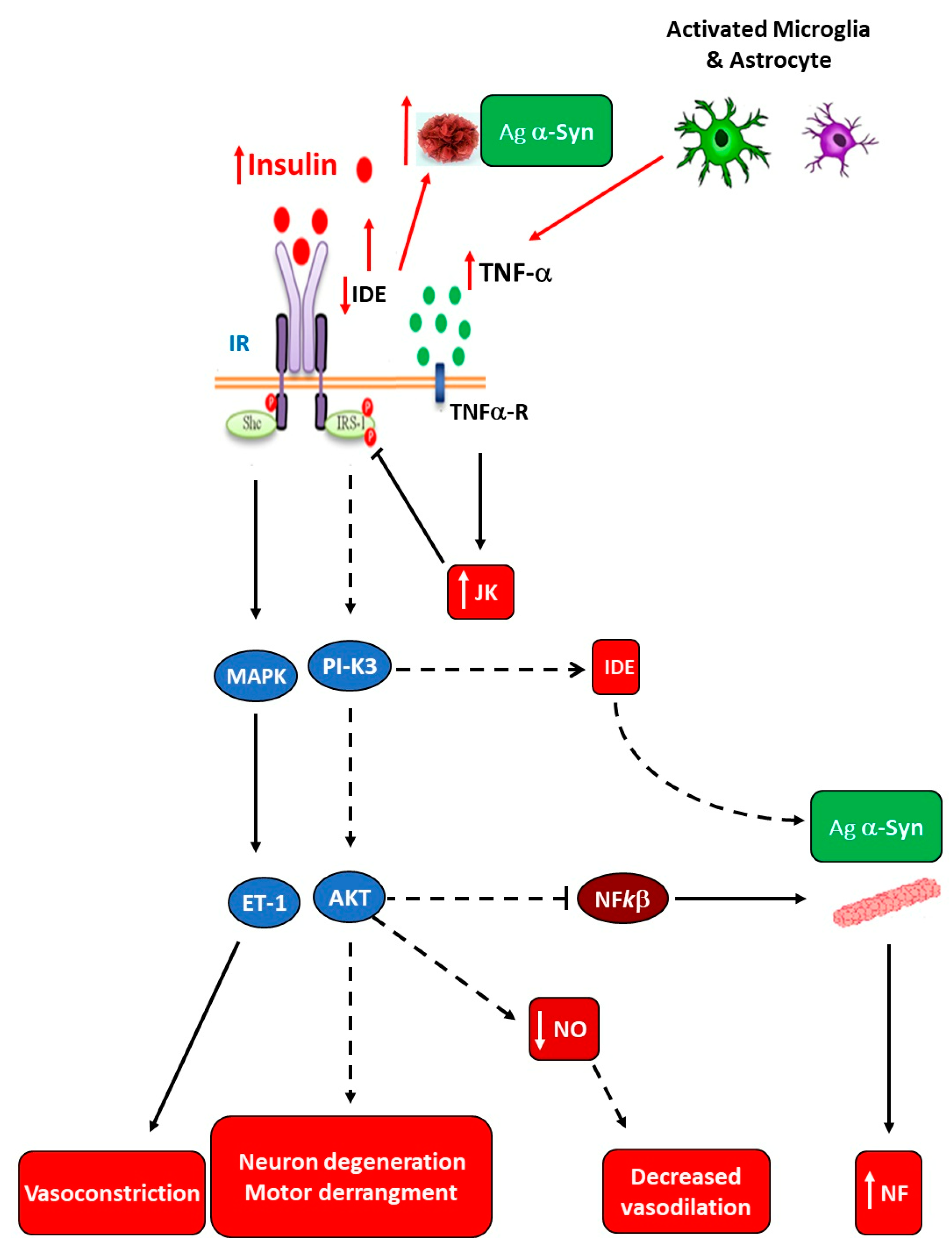 Ijms 25 11741 g005 Ijms 25 11741 g005