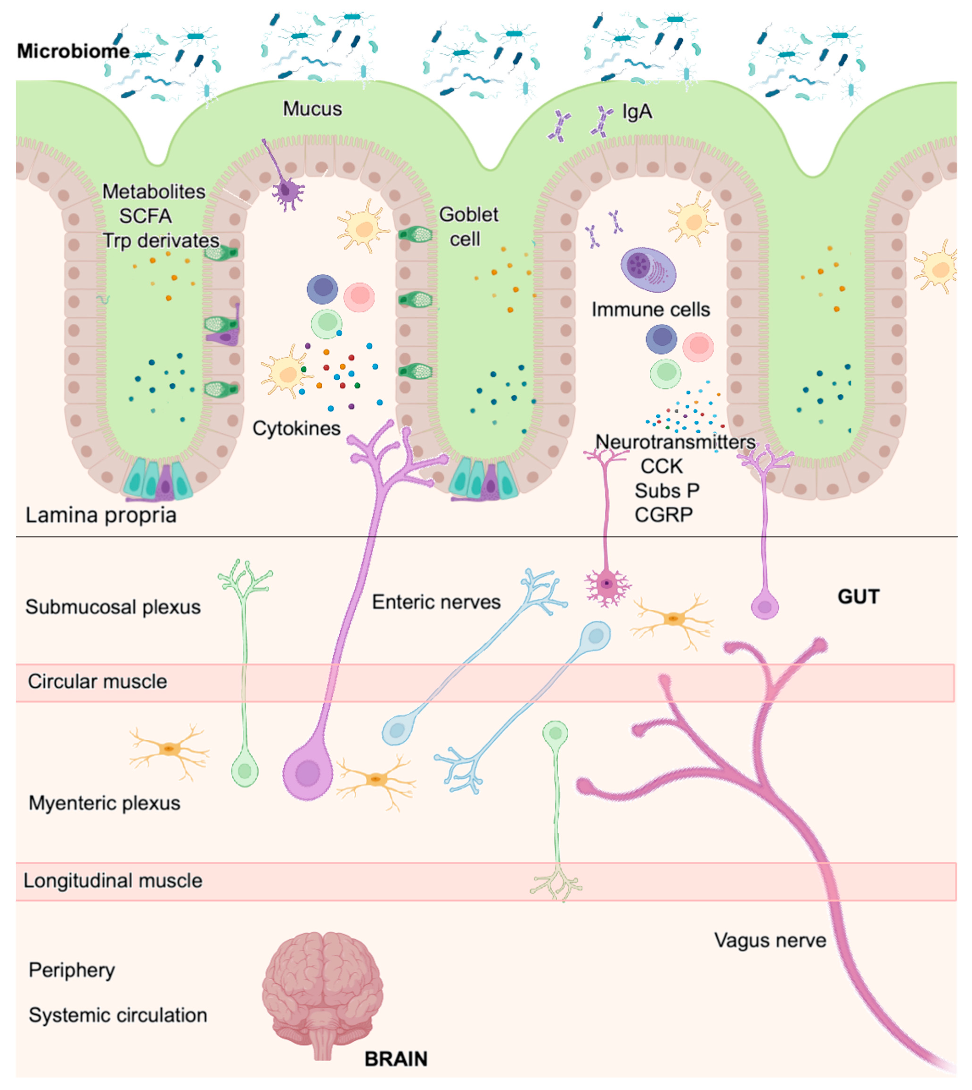 Ijms 25 11741 g006 Ijms 25 11741 g006