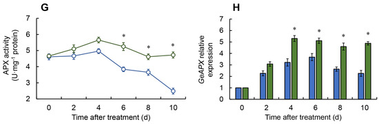 Melatonin Maintains Postharvest Quality in Fresh Gastrodia