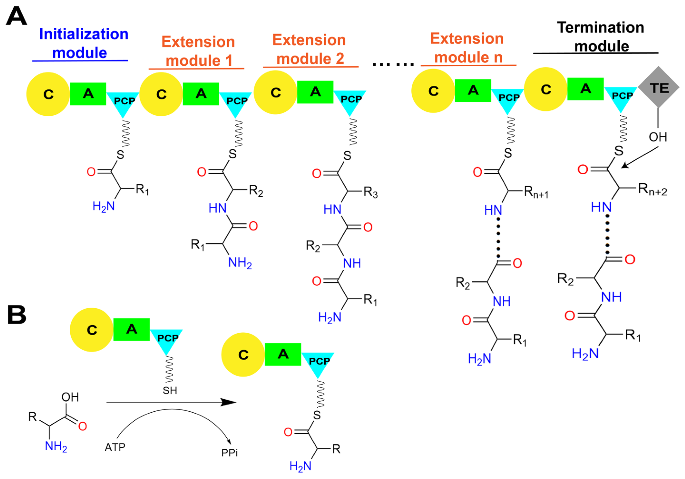 Ijms 25 11774 g002a Ijms 25 11774 g002a