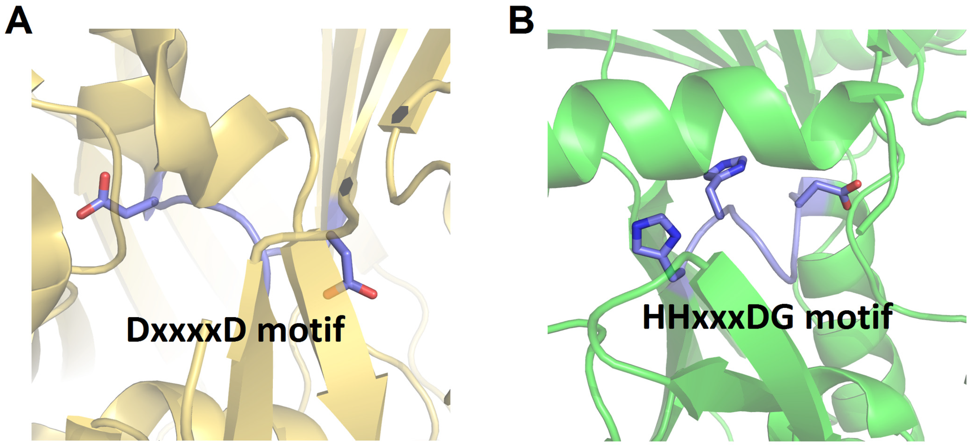 Ijms 25 11774 g004 Ijms 25 11774 g004