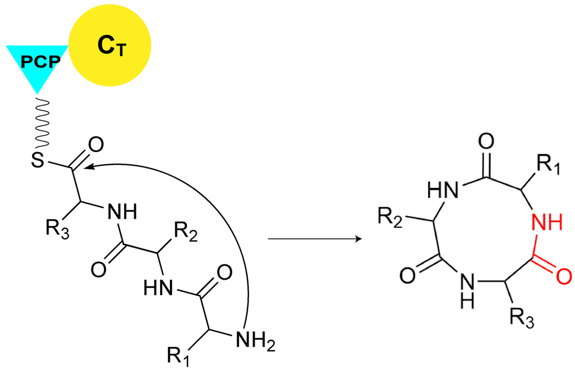 Ijms 25 11774 g006 Ijms 25 11774 g006
