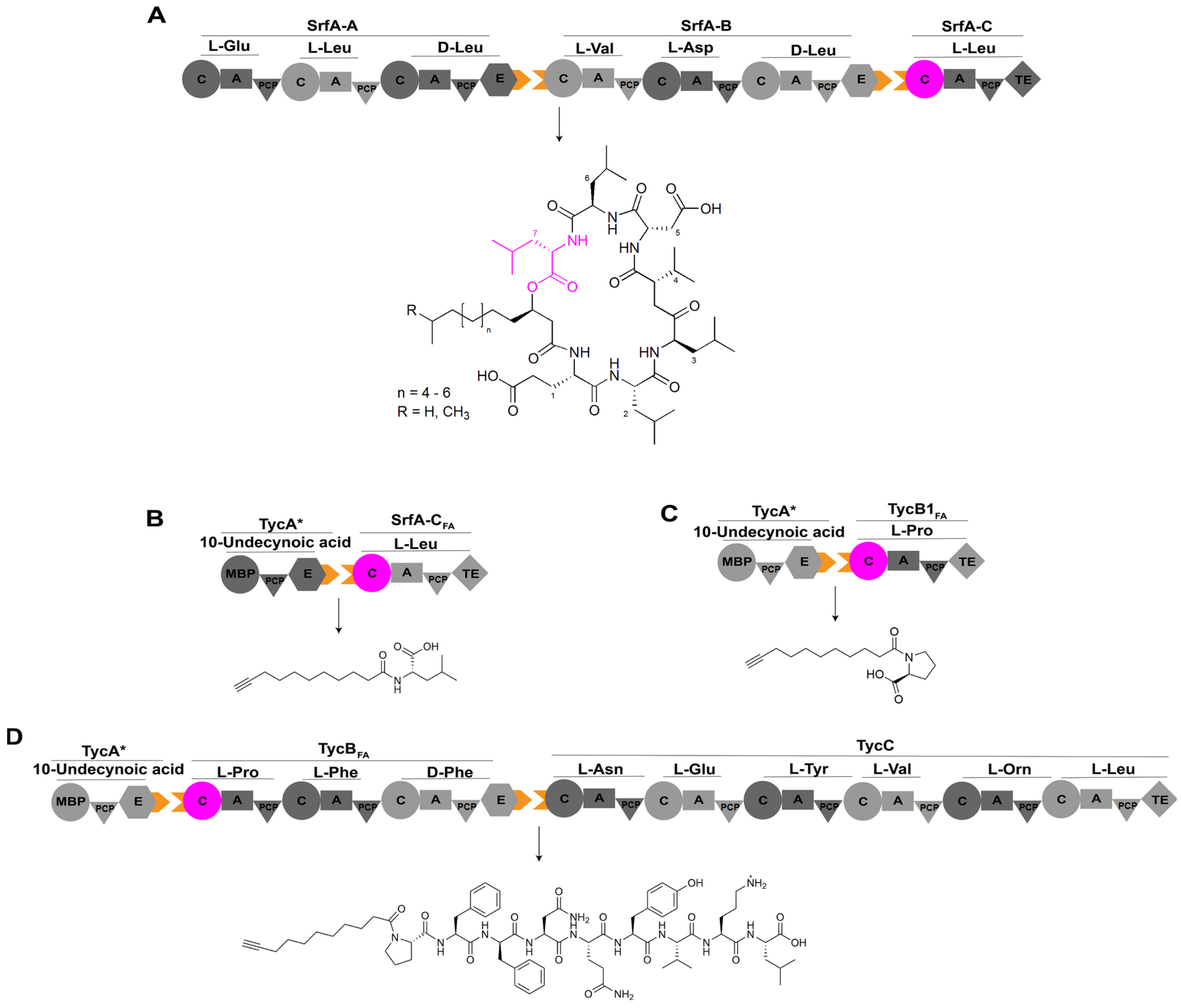 Ijms 25 11774 g008 Ijms 25 11774 g008