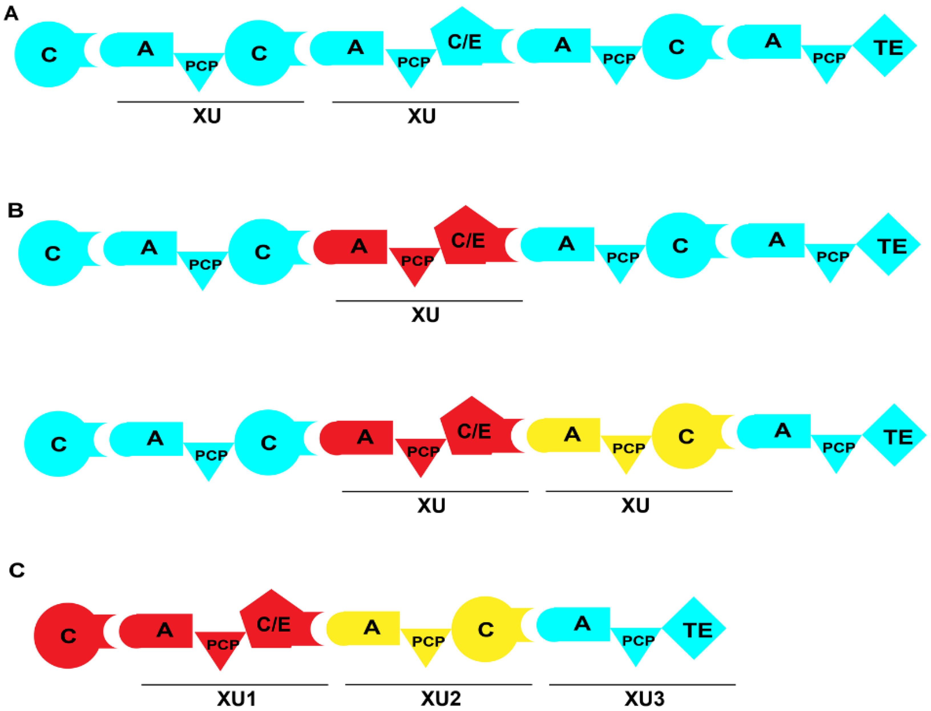 Ijms 25 11774 g009 Ijms 25 11774 g009