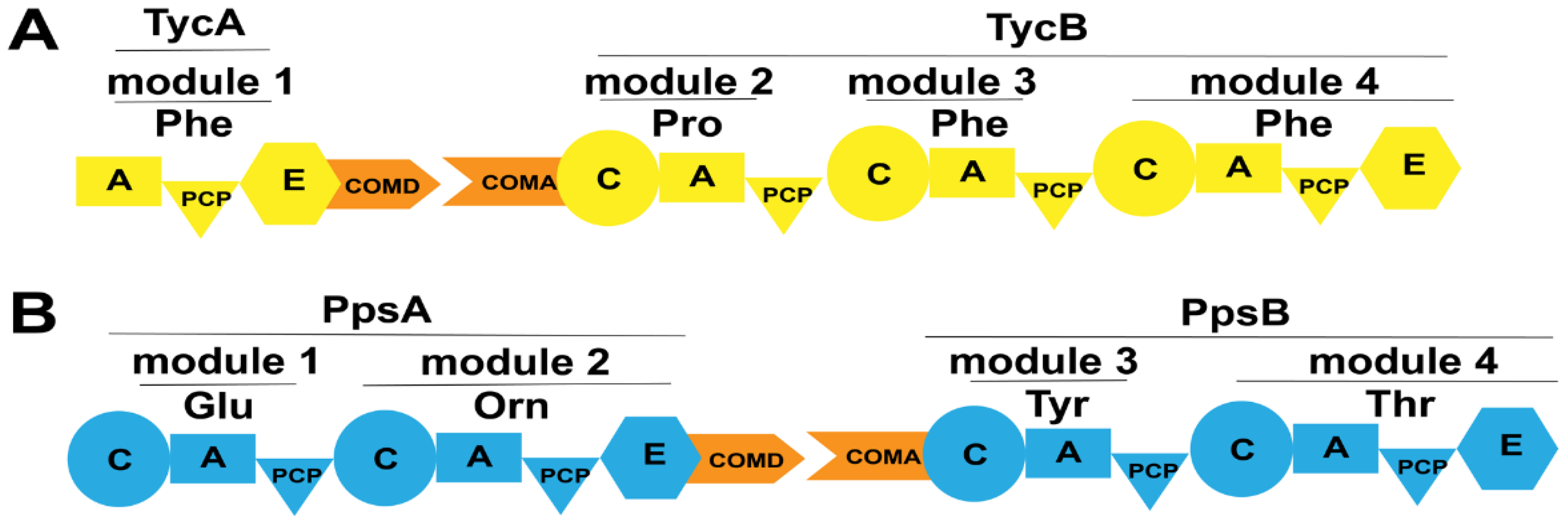Ijms 25 11774 g011 Ijms 25 11774 g011
