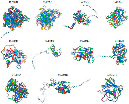 rm Genome-Wide Identification and Analysis of Gene Family of