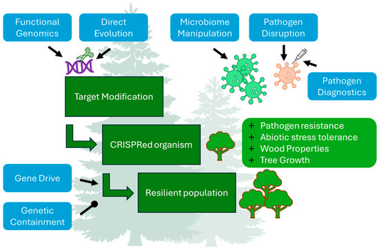 Frontiers | Dual transcriptomic analysis reveals early