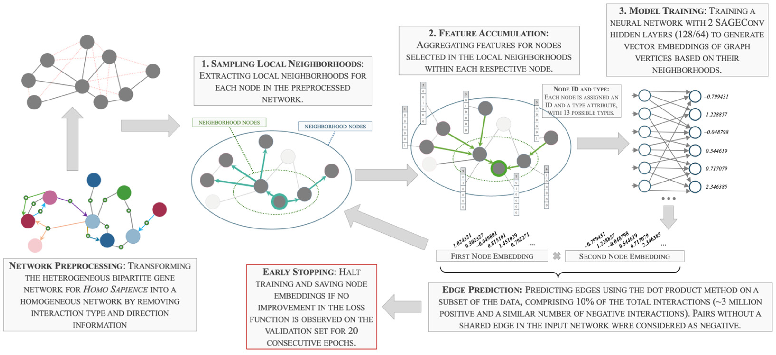 Ijms 25 11811 g001 Ijms 25 11811 g001