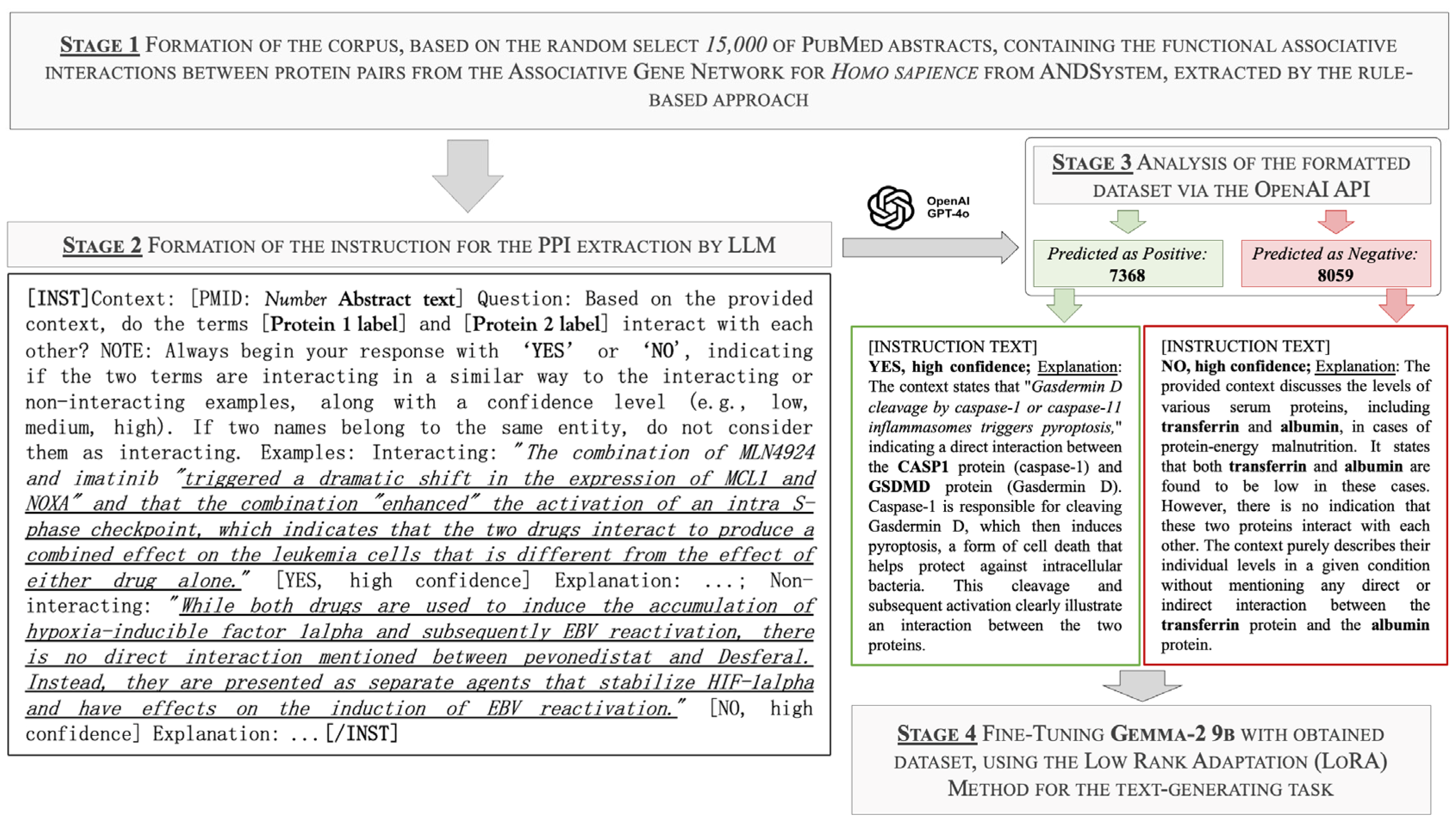 Ijms 25 11811 g002 Ijms 25 11811 g002