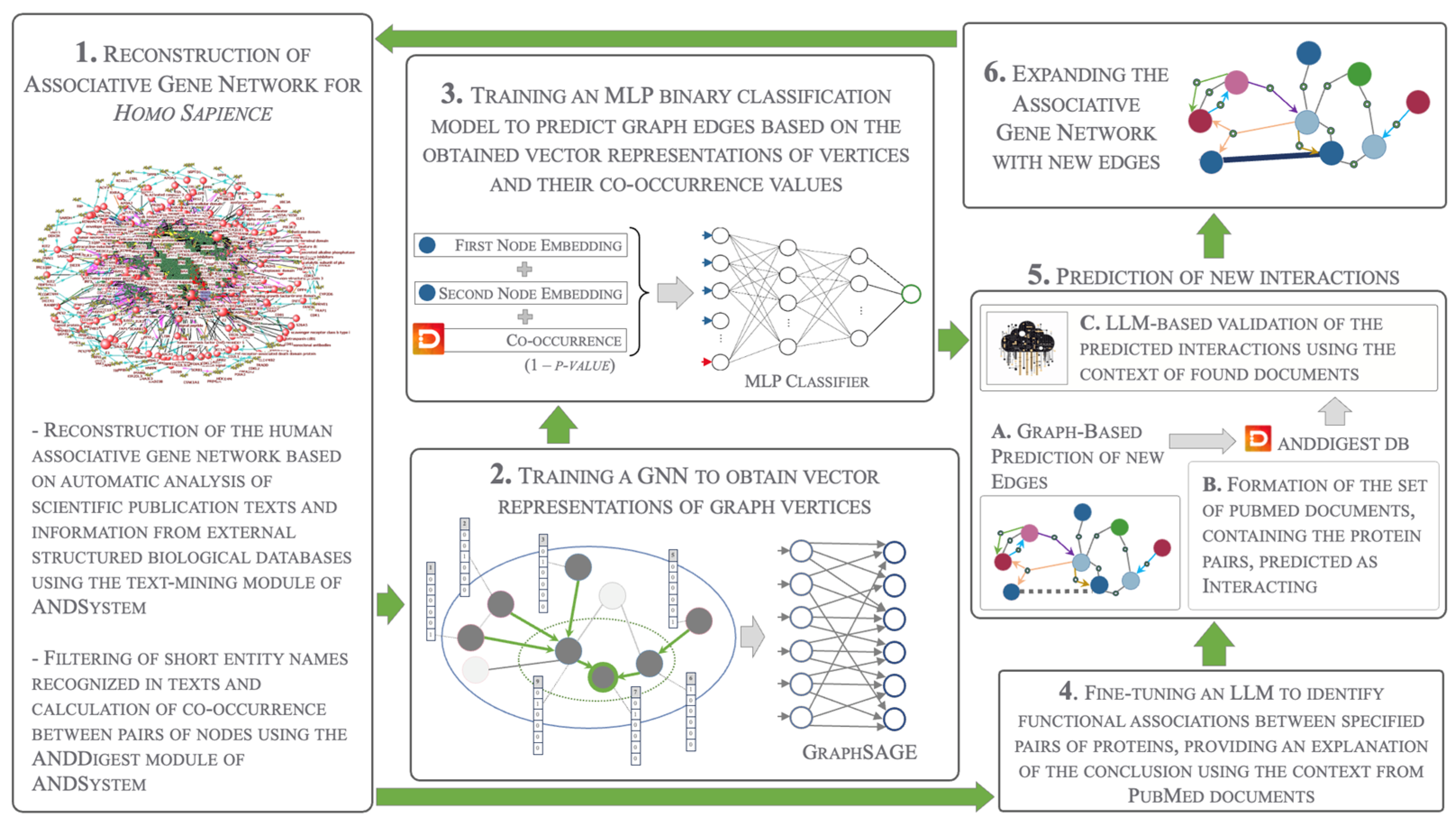 Ijms 25 11811 g008 Ijms 25 11811 g008