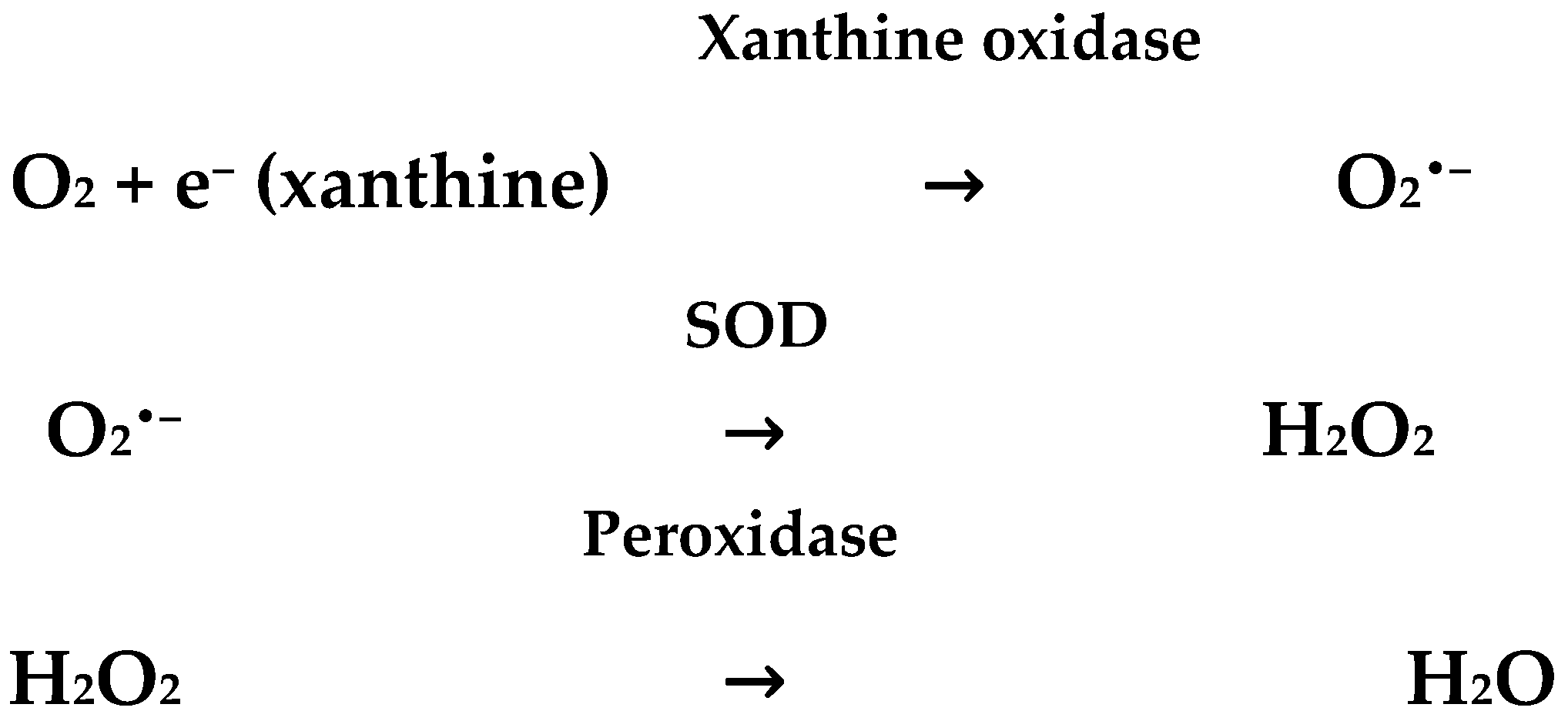 Ijms 25 11820 sch001