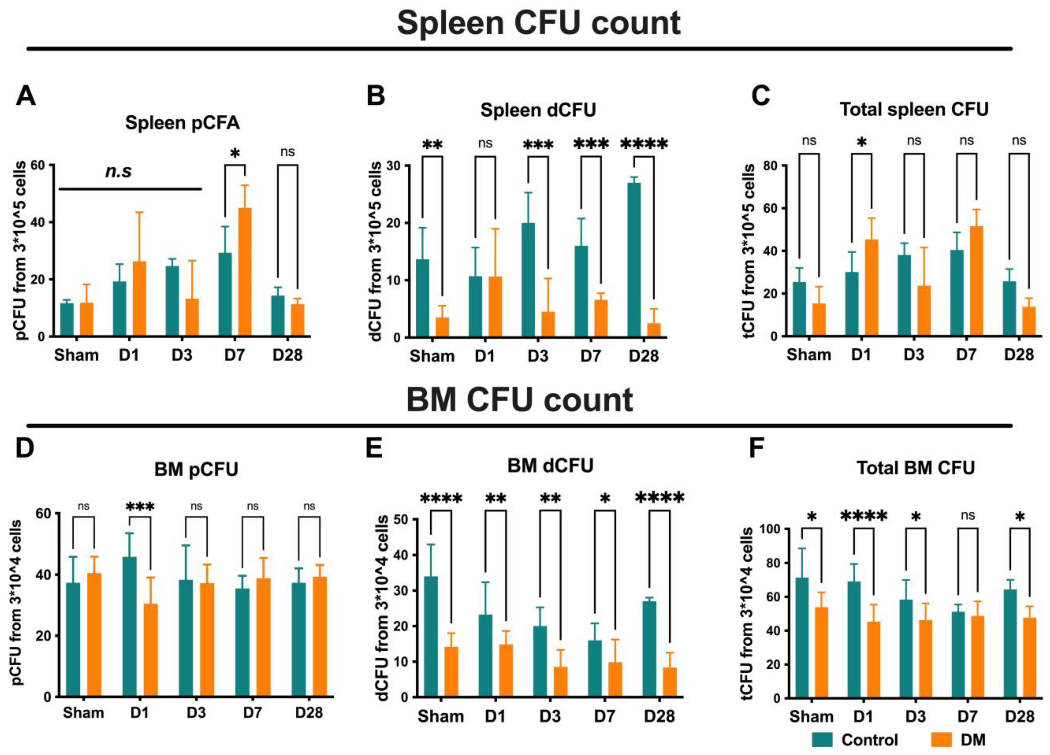 Ijms 25 11833 g007 Ijms 25 11833 g007