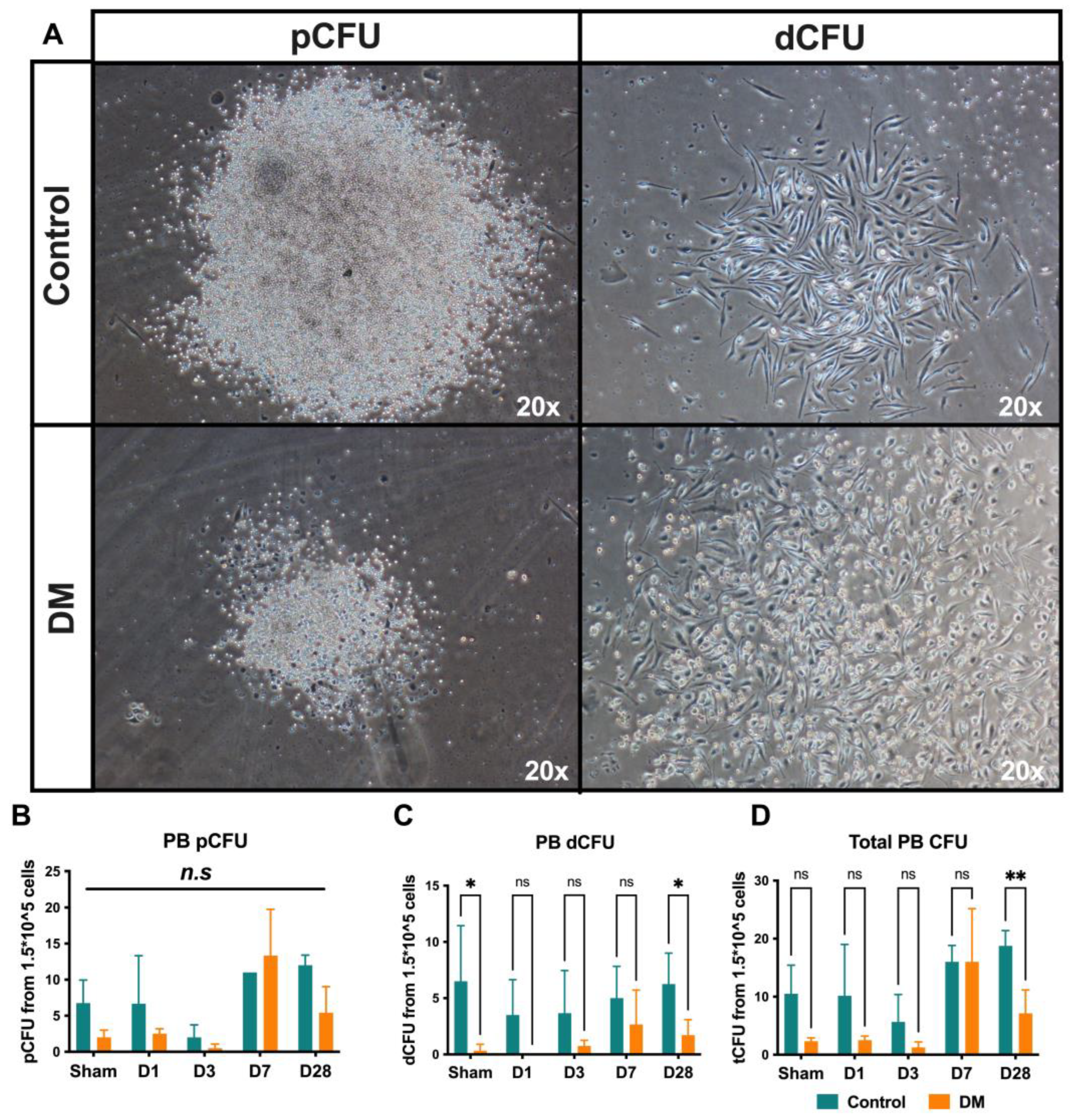 Ijms 25 11833 g008 Ijms 25 11833 g008