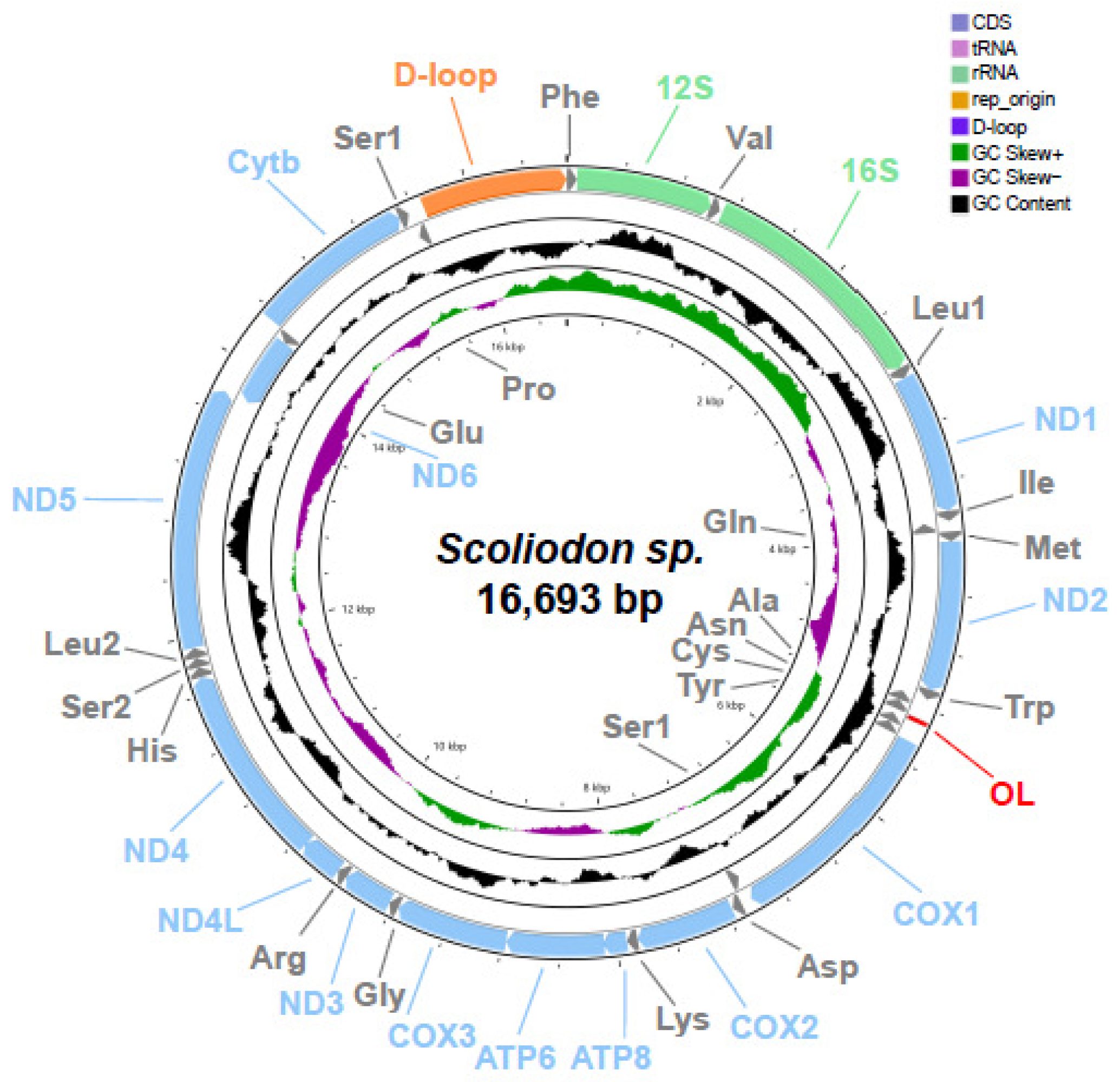 Ijms 25 11851 g001 Ijms 25 11851 g001