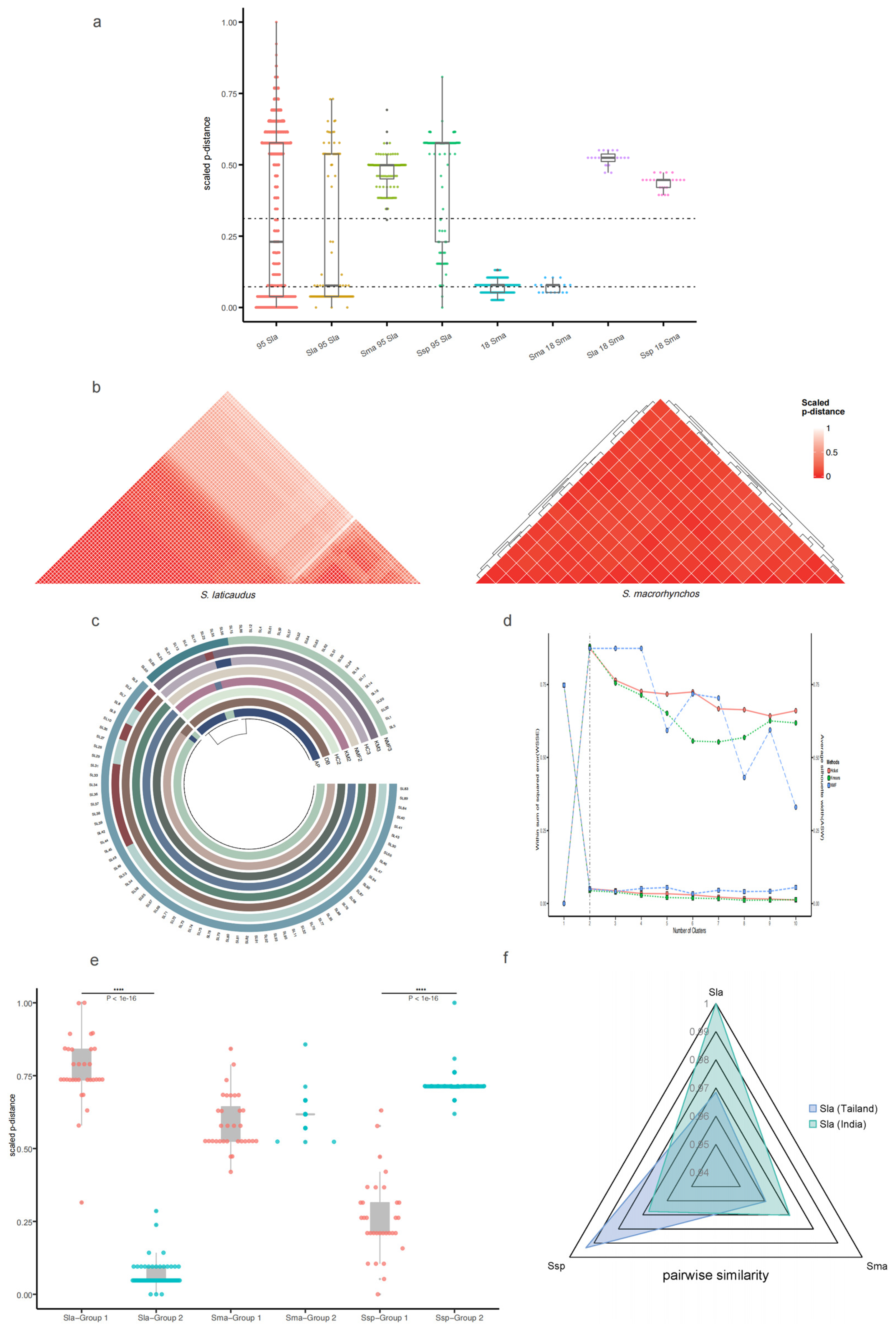 Ijms 25 11851 g003 Ijms 25 11851 g003