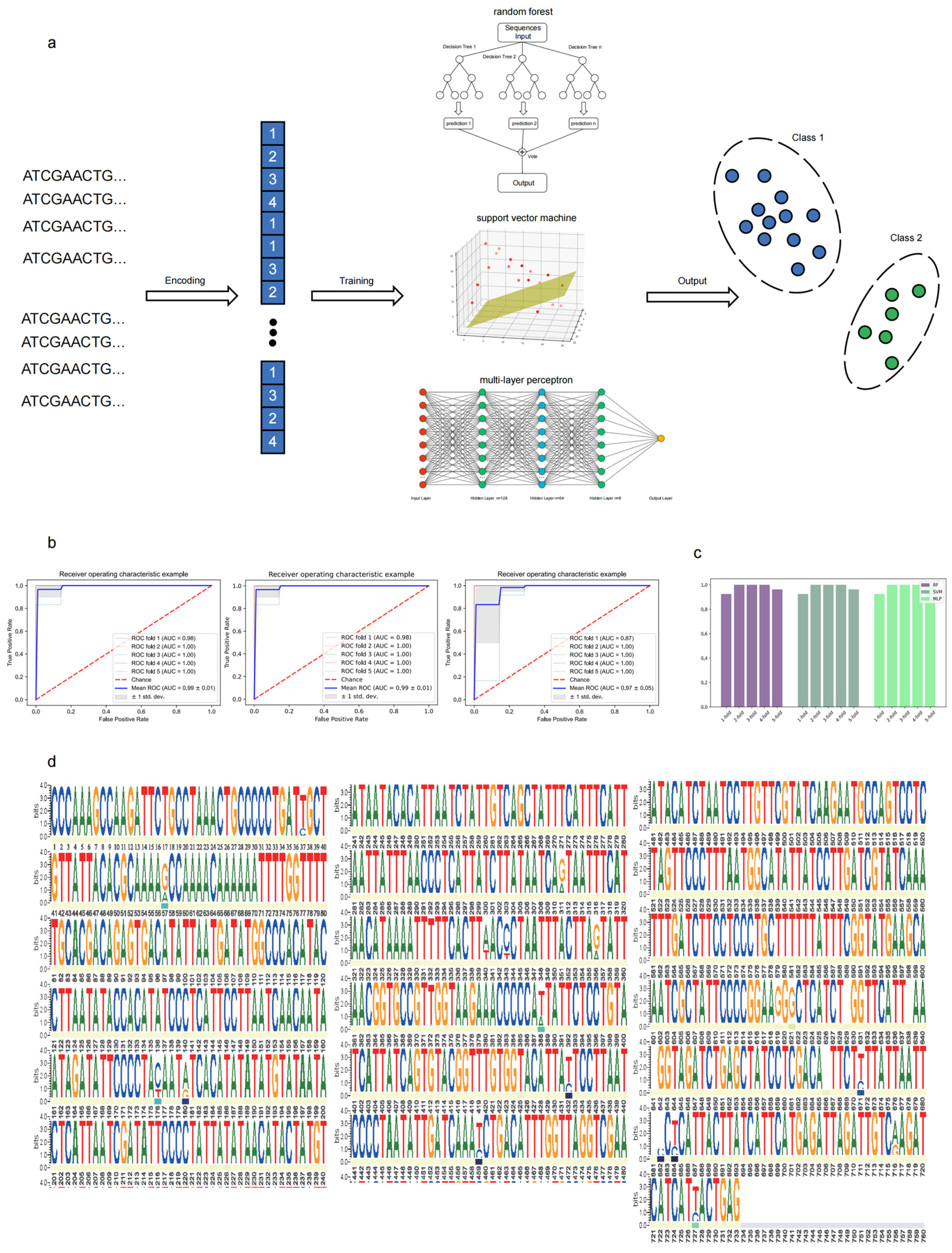 Ijms 25 11851 g005 Ijms 25 11851 g005