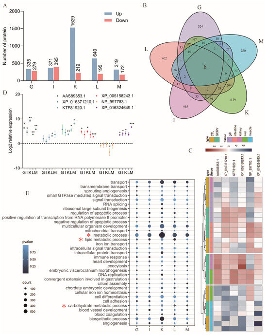 Analysis of GCRV Pathogenesis and Therapeutic Measures