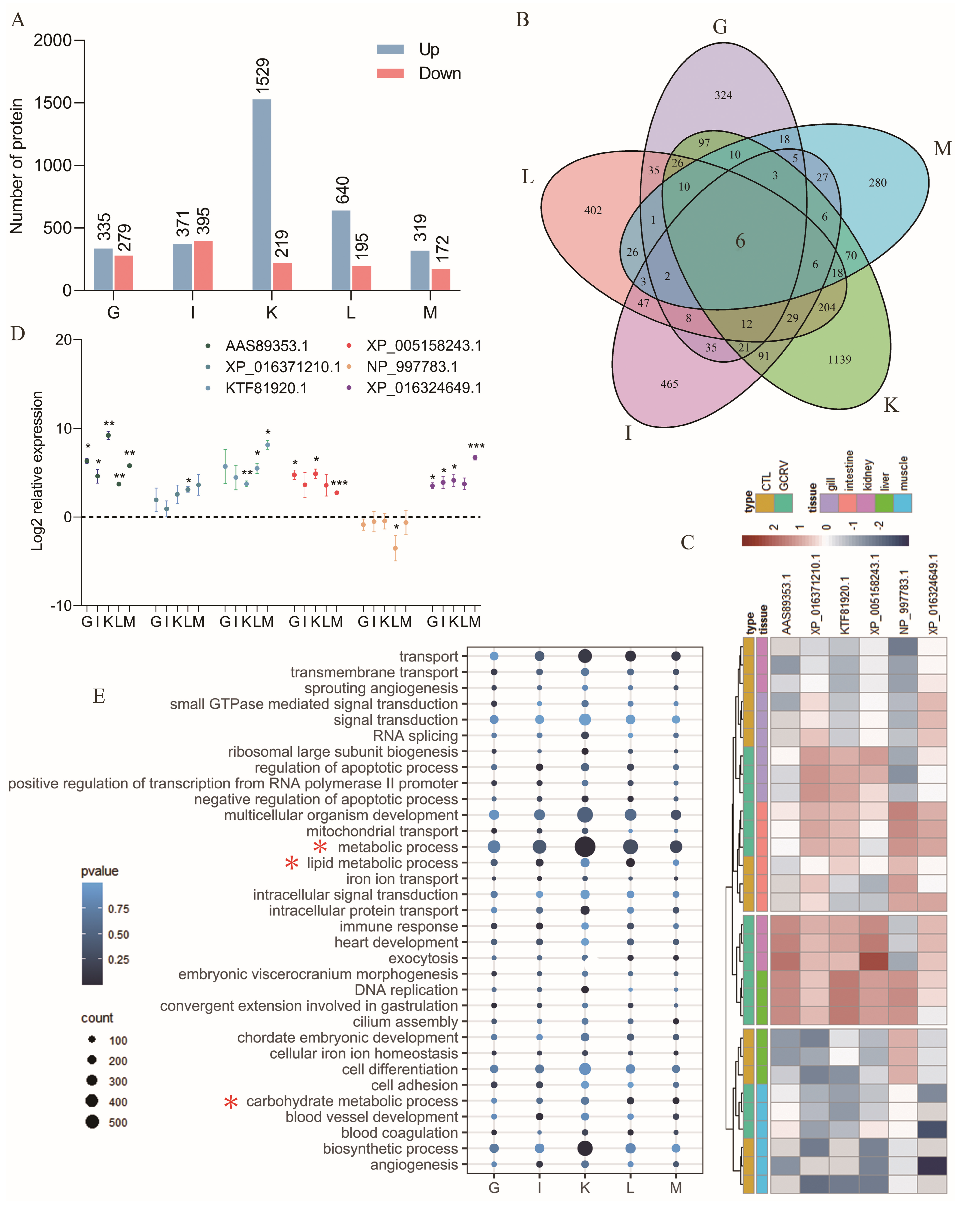？？？ TWICE Analysis of GCRV Pathogenesis and Therapeutic Measures