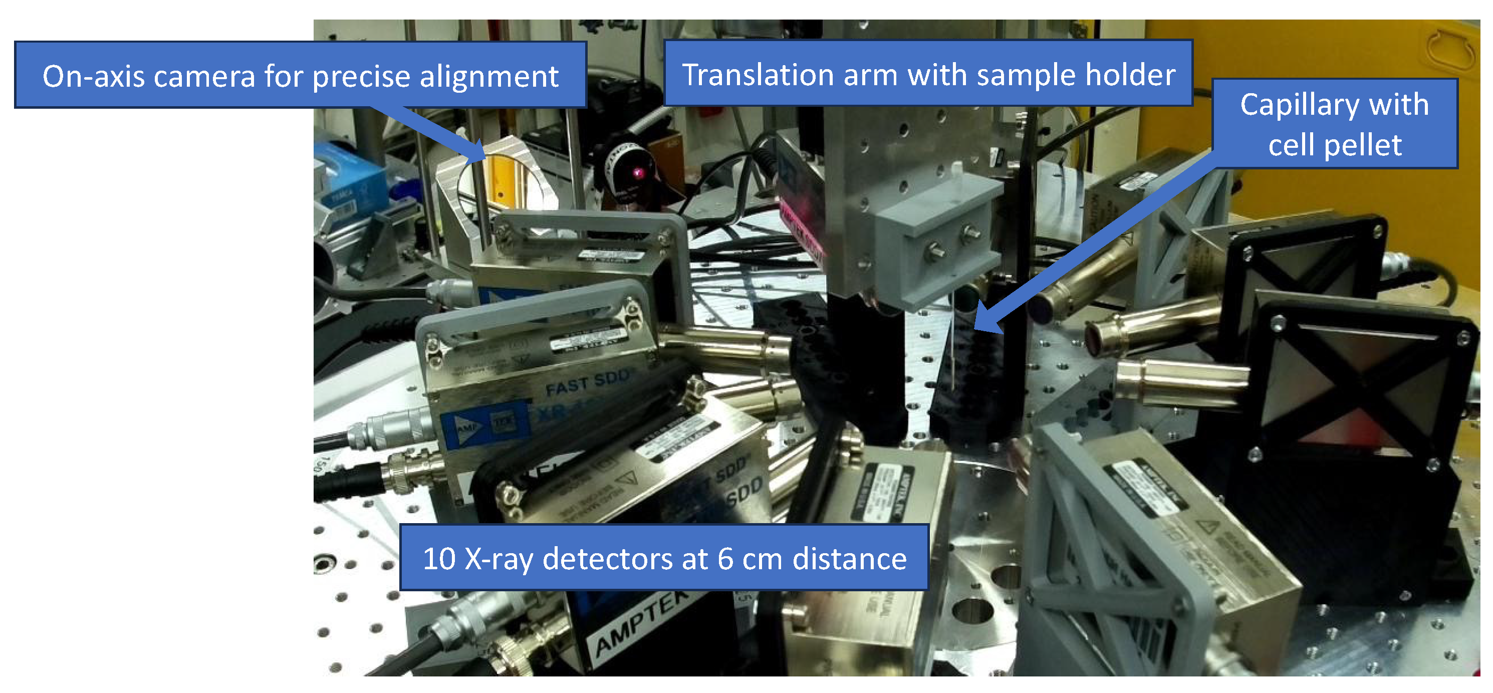 Ijms 25 11880 g002 Ijms 25 11880 g002