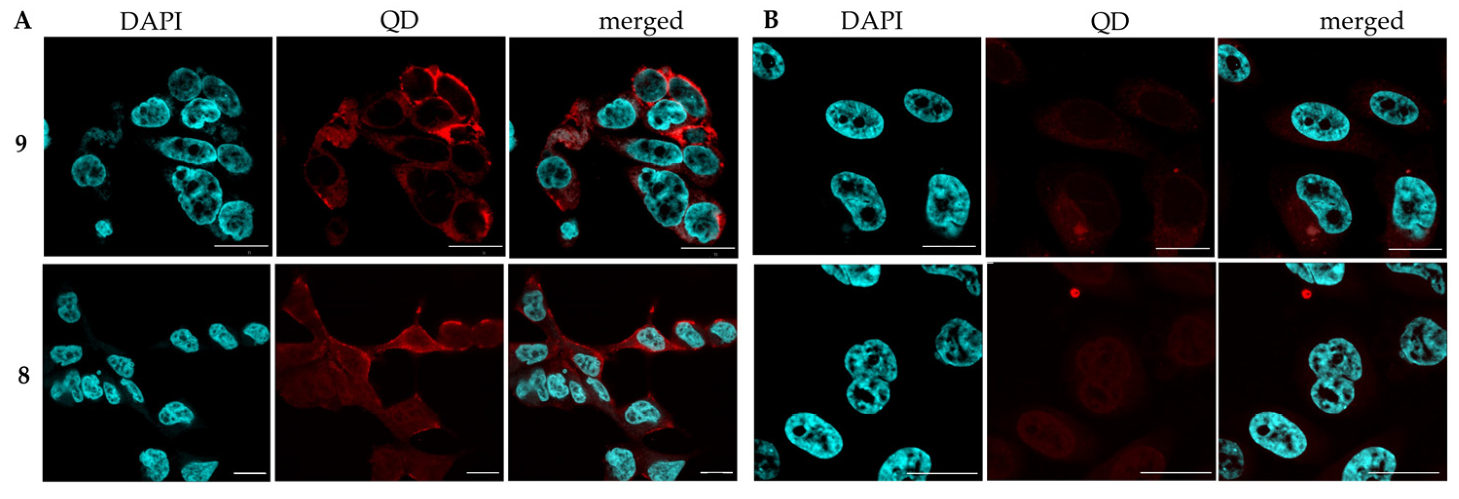 Ijms 25 11880 g003 Ijms 25 11880 g003