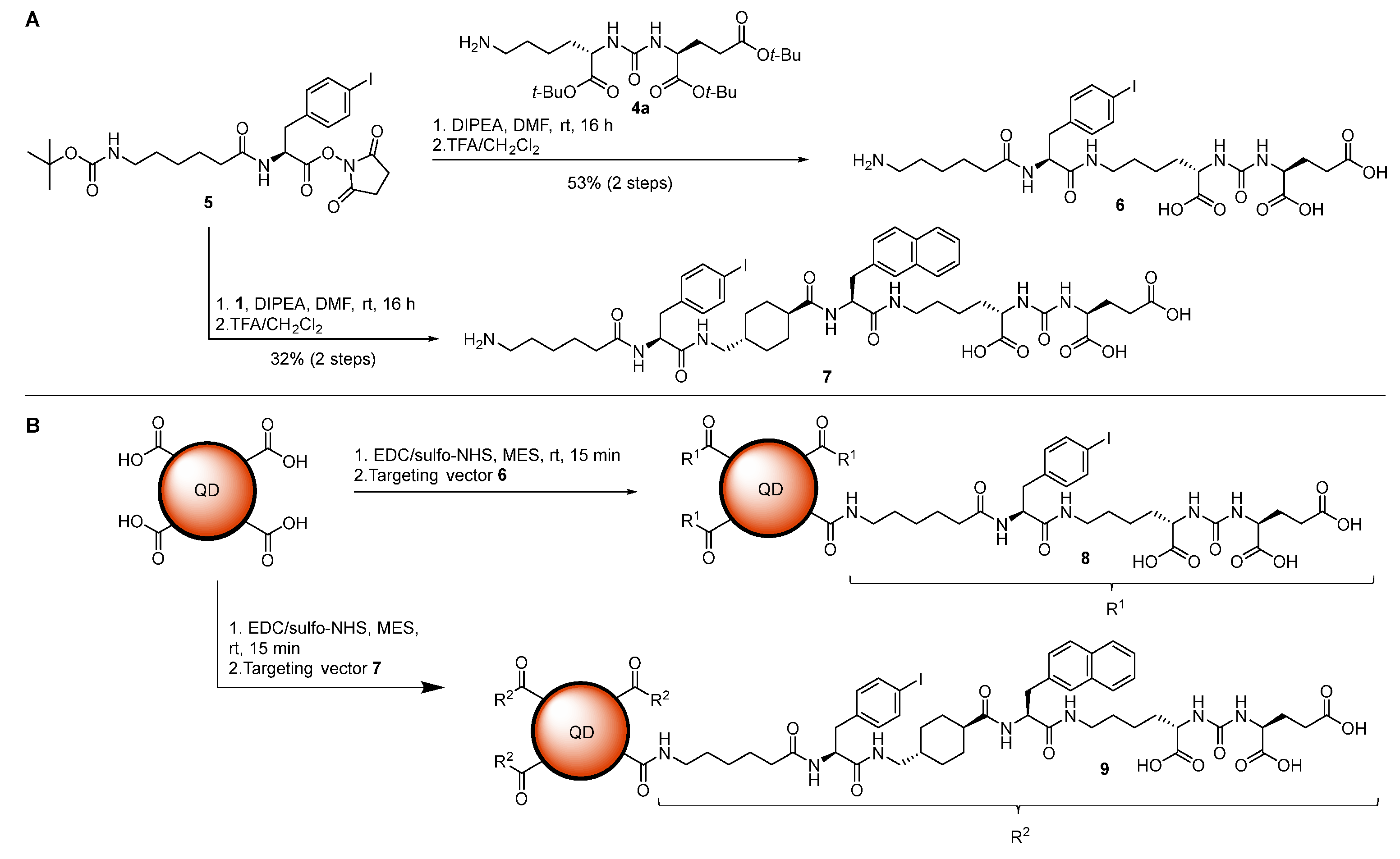 Ijms 25 11880 sch004 Ijms 25 11880 sch004