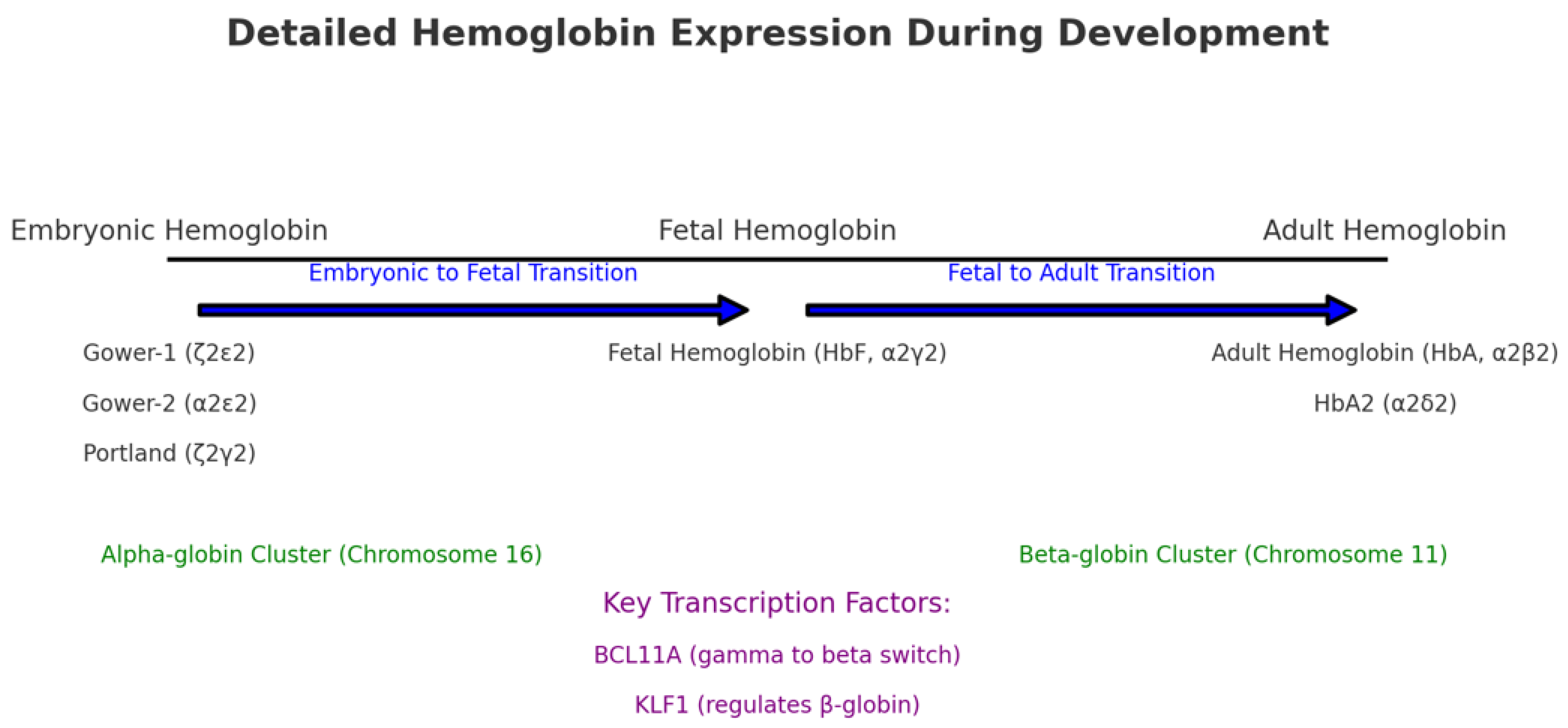 Ijms 25 11886 g002 Ijms 25 11886 g002