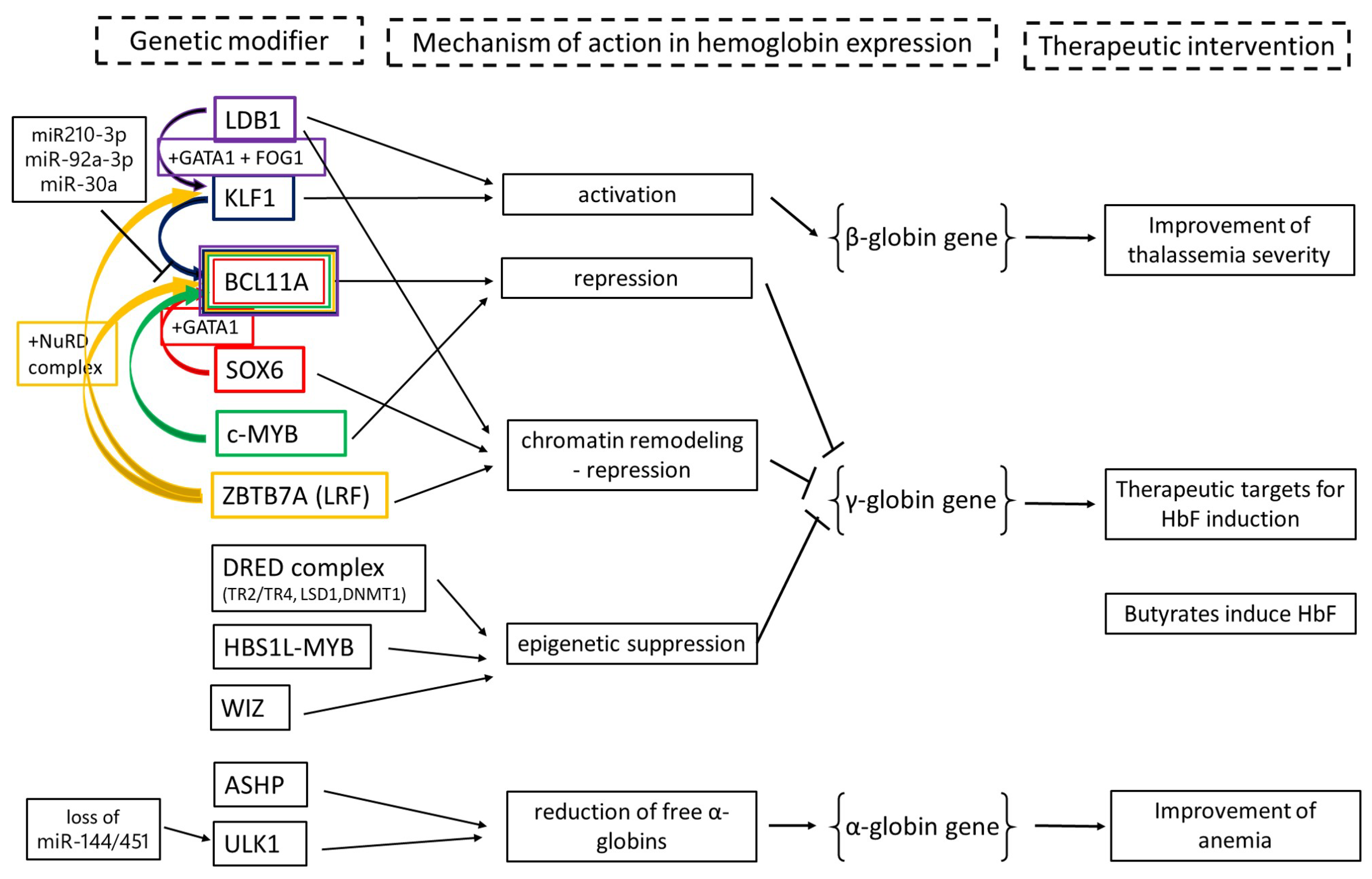 Ijms 25 11886 g003 Ijms 25 11886 g003