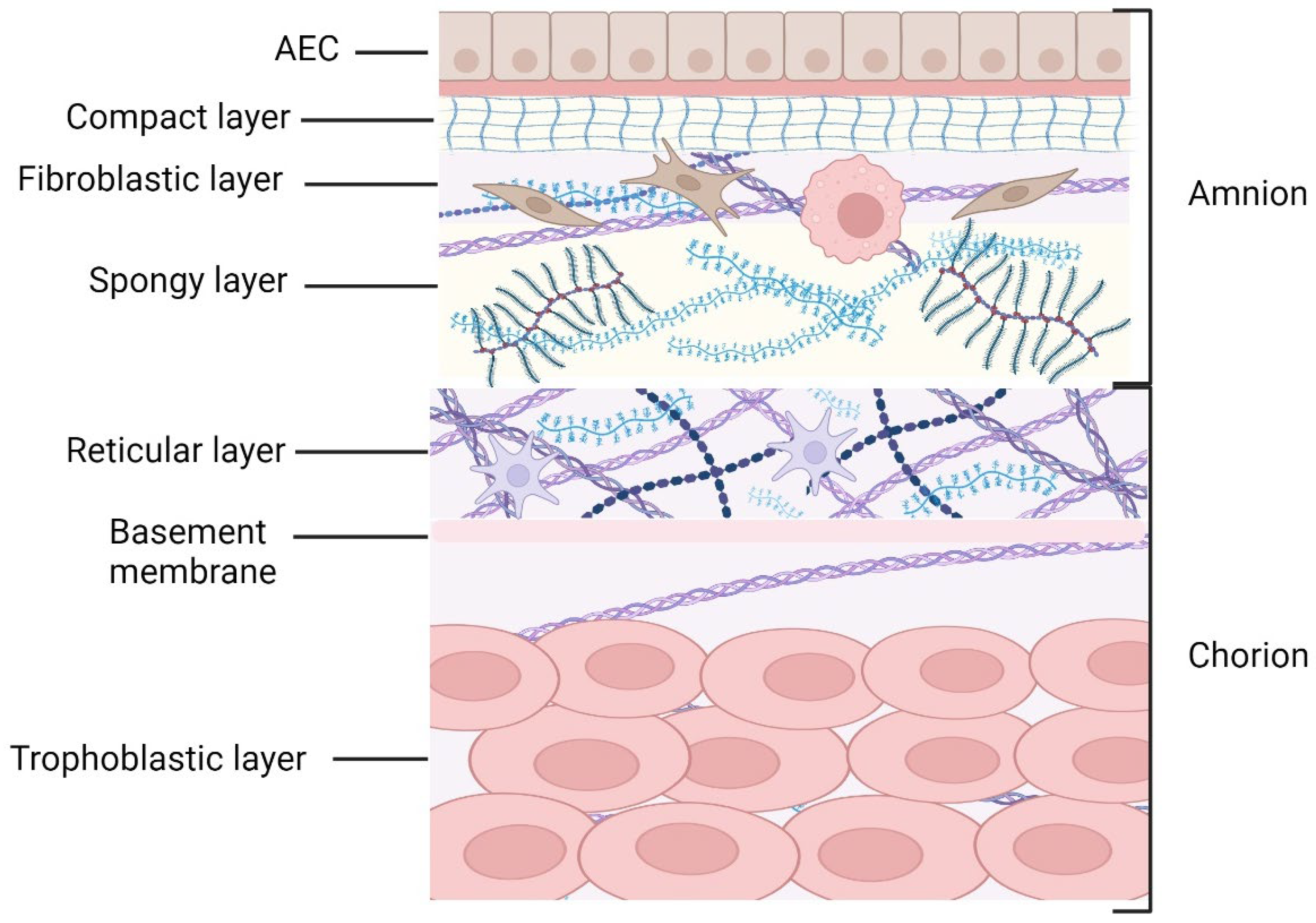 Ijms 25 11893 g001 Ijms 25 11893 g001