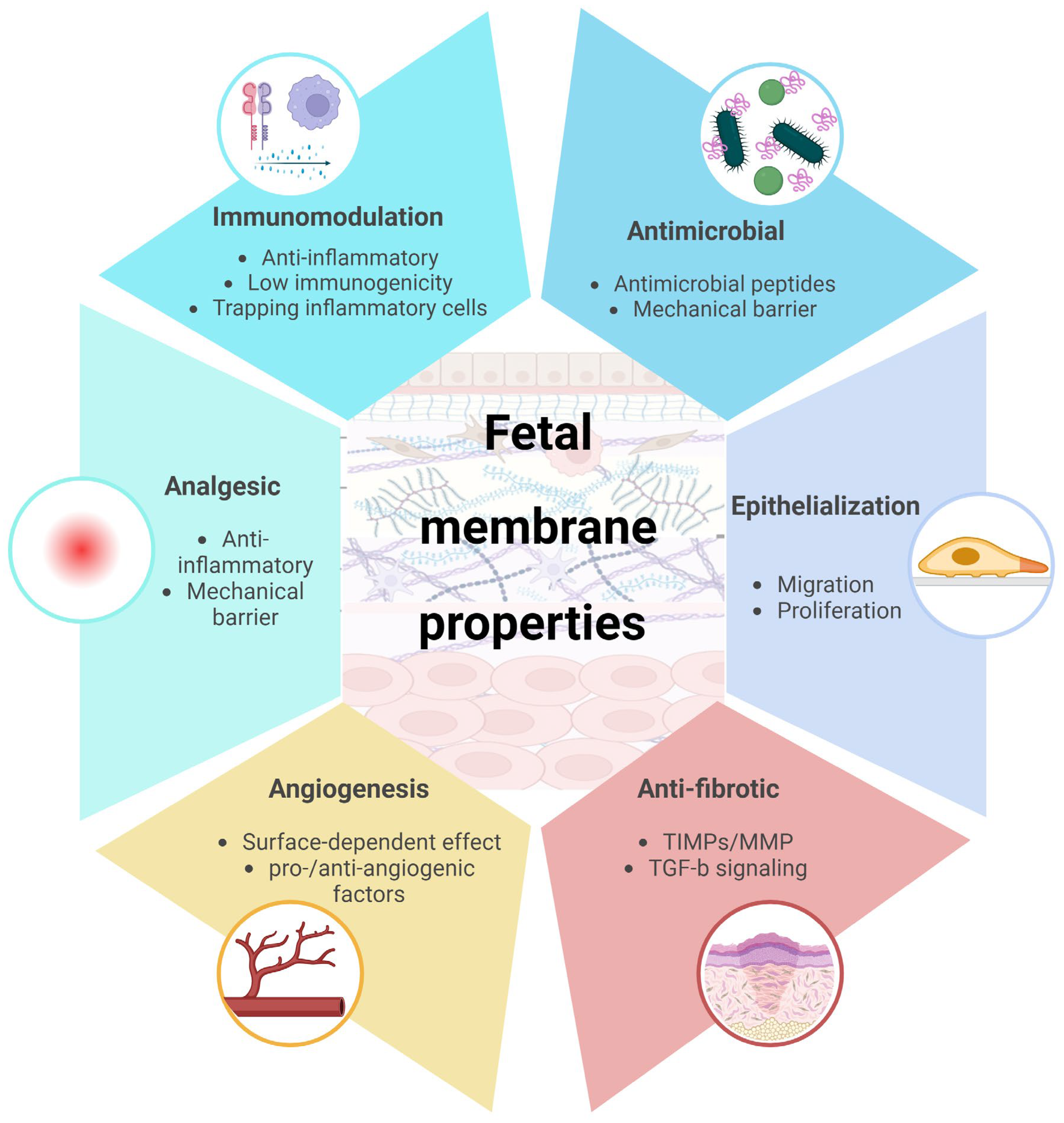 Ijms 25 11893 g002 Ijms 25 11893 g002