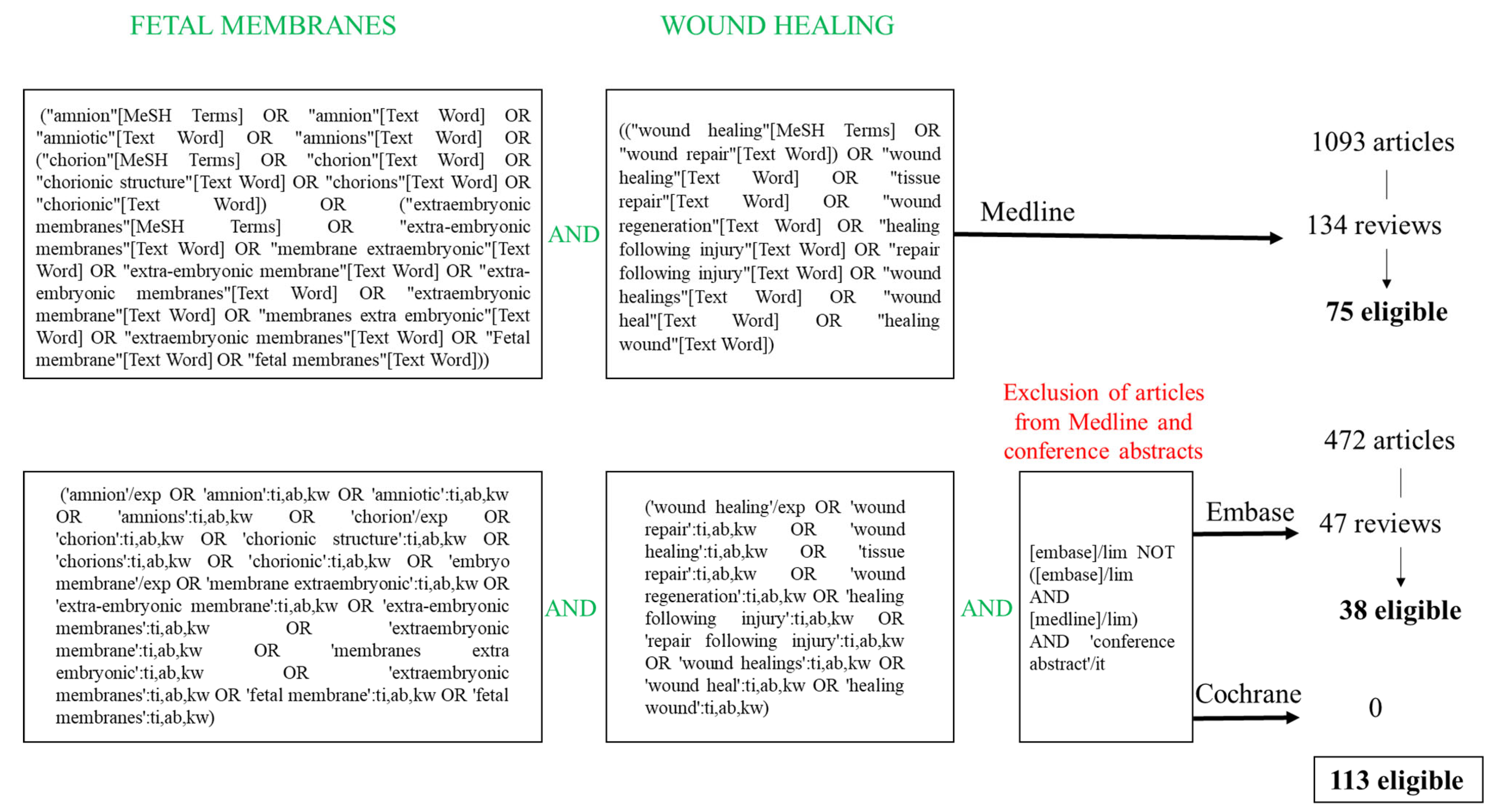 Ijms 25 11893 g003 Ijms 25 11893 g003