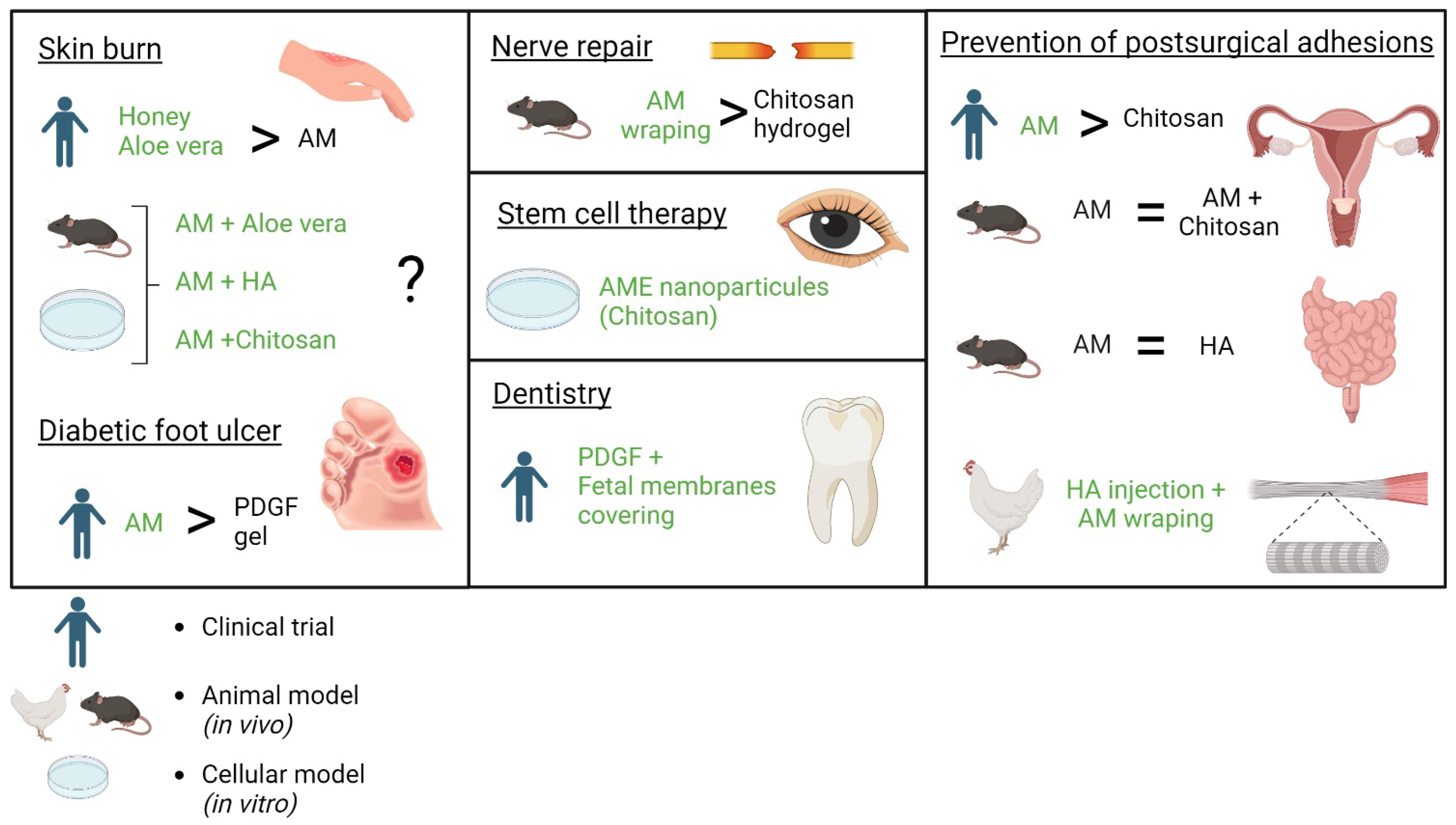 Ijms 25 11893 g005 Ijms 25 11893 g005