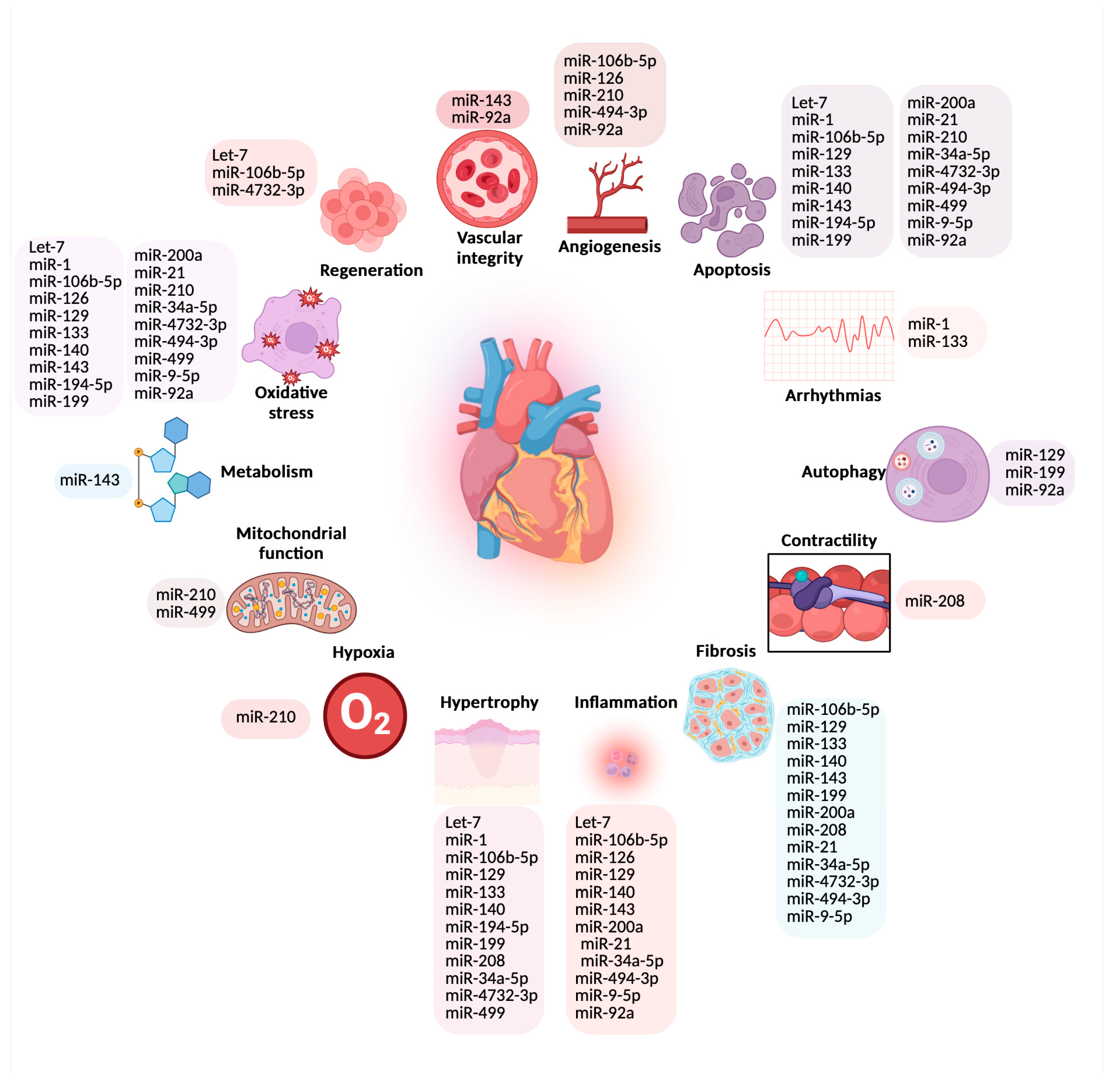 Transforming Cardiotoxicity Detection in Cancer Therapies Transforming Cardiotoxicity Detection in Cancer Therapies