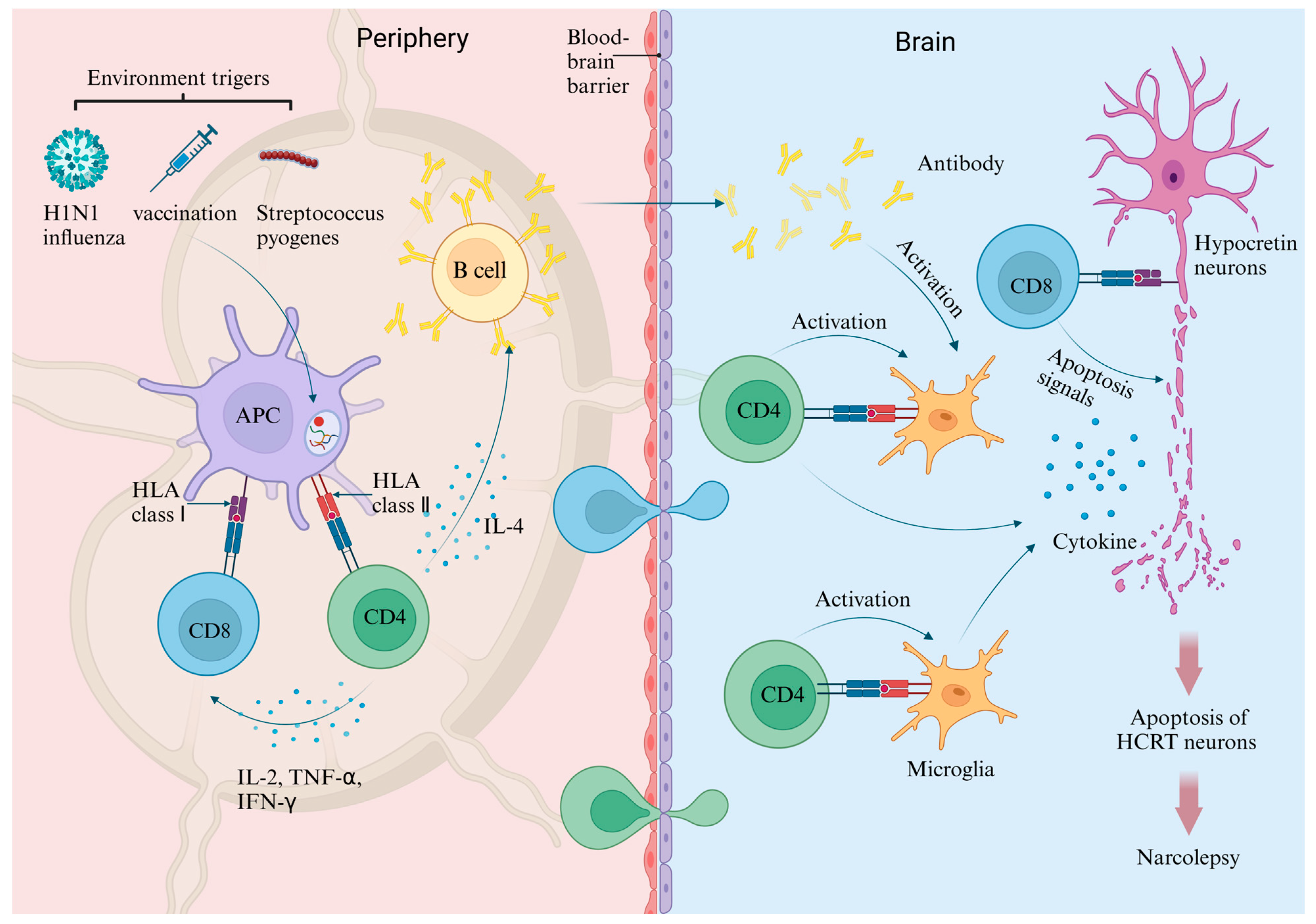 Ijms 25 11914 g001 Ijms 25 11914 g001