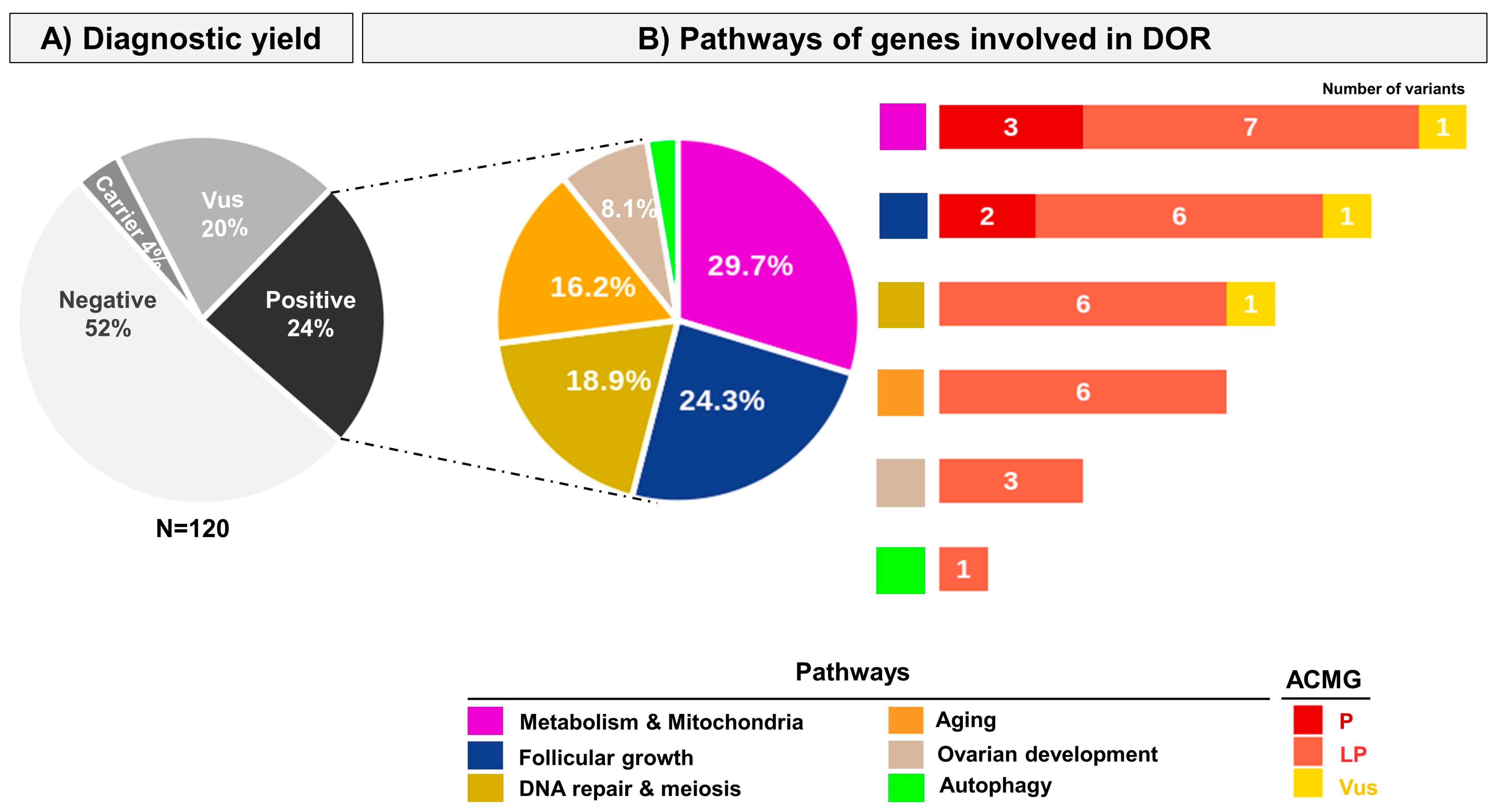 Ijms 25 11915 g002 Ijms 25 11915 g002
