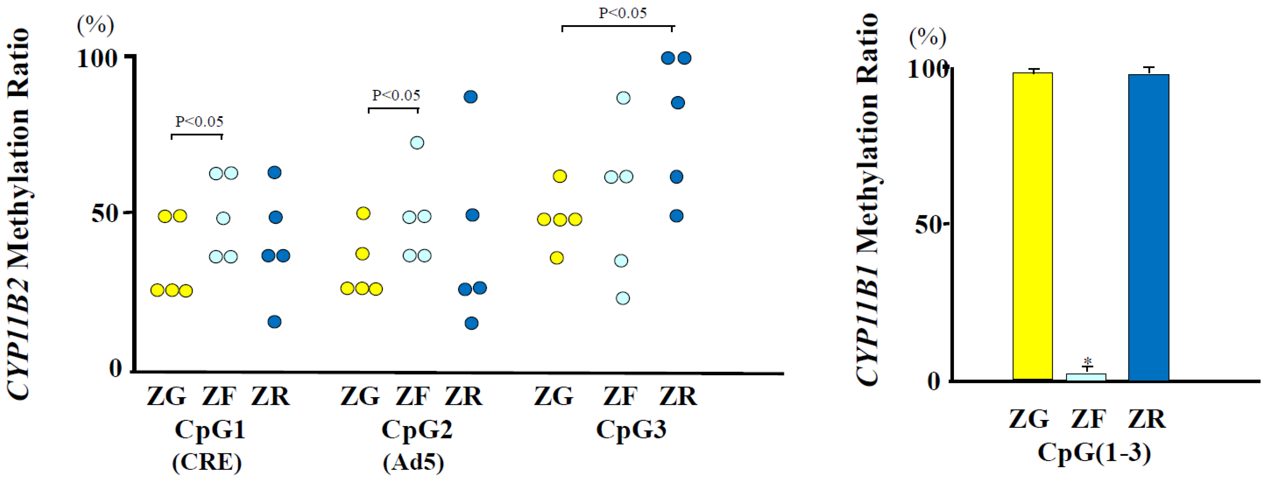 Ijms 25 11956 g001 Ijms 25 11956 g001