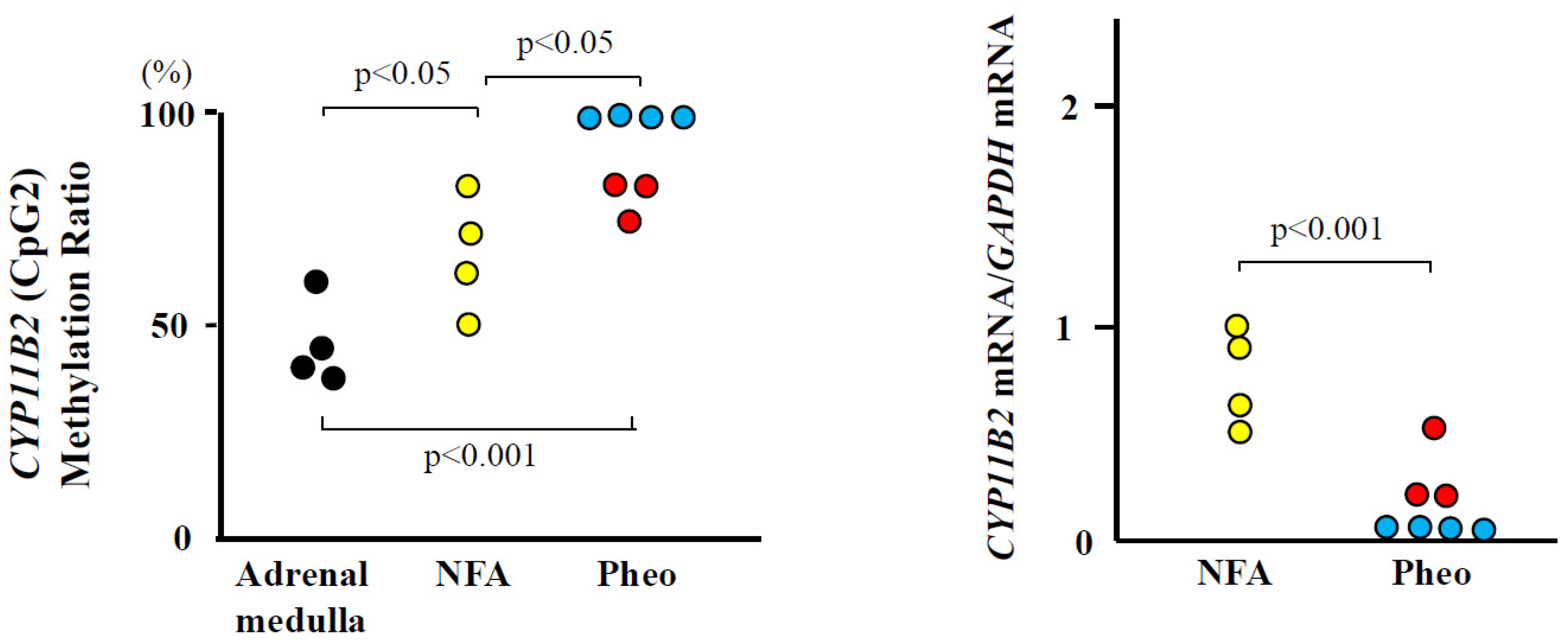 Ijms 25 11956 g002 Ijms 25 11956 g002