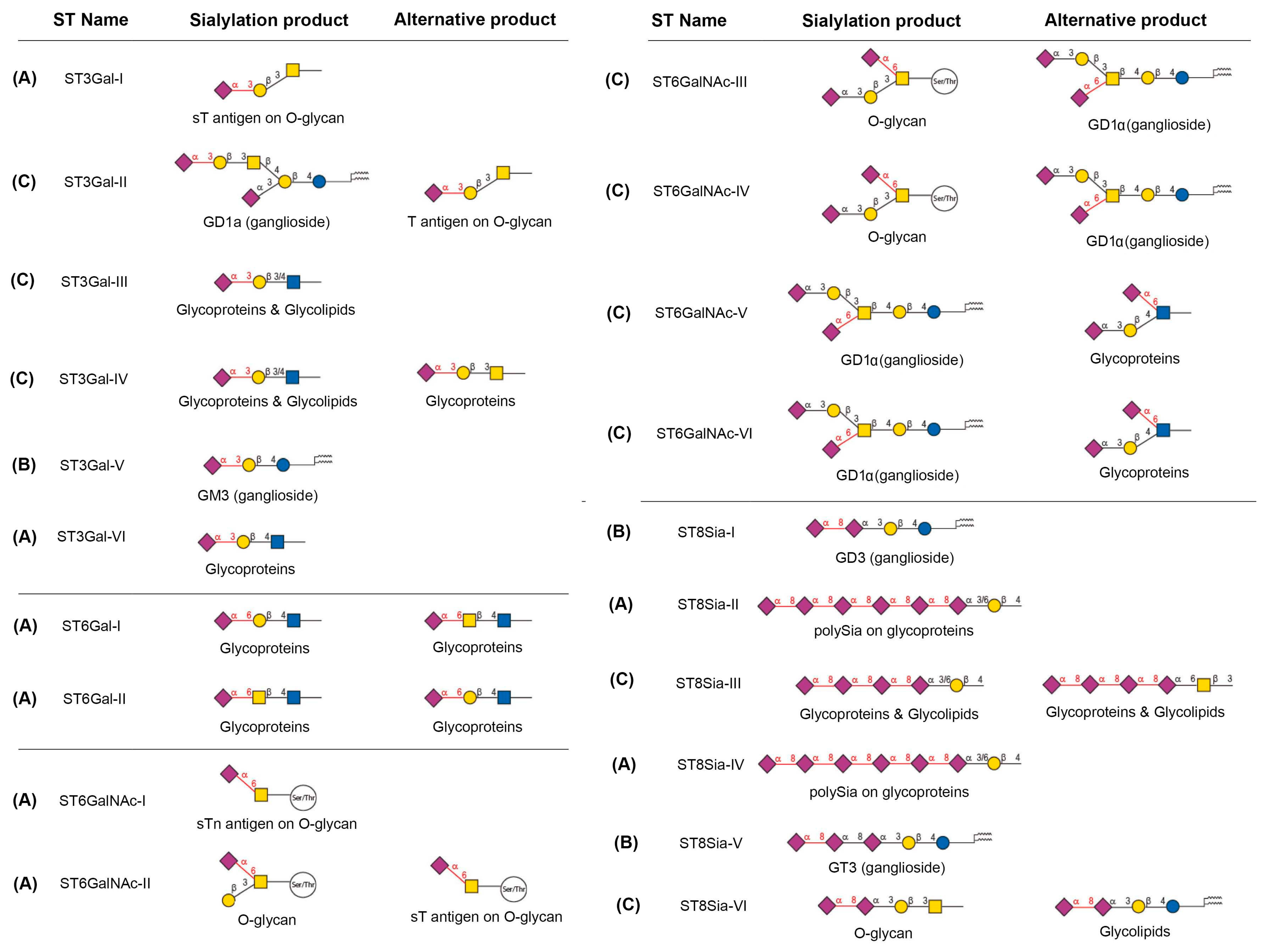 Ijms 25 11962 g003 Ijms 25 11962 g003