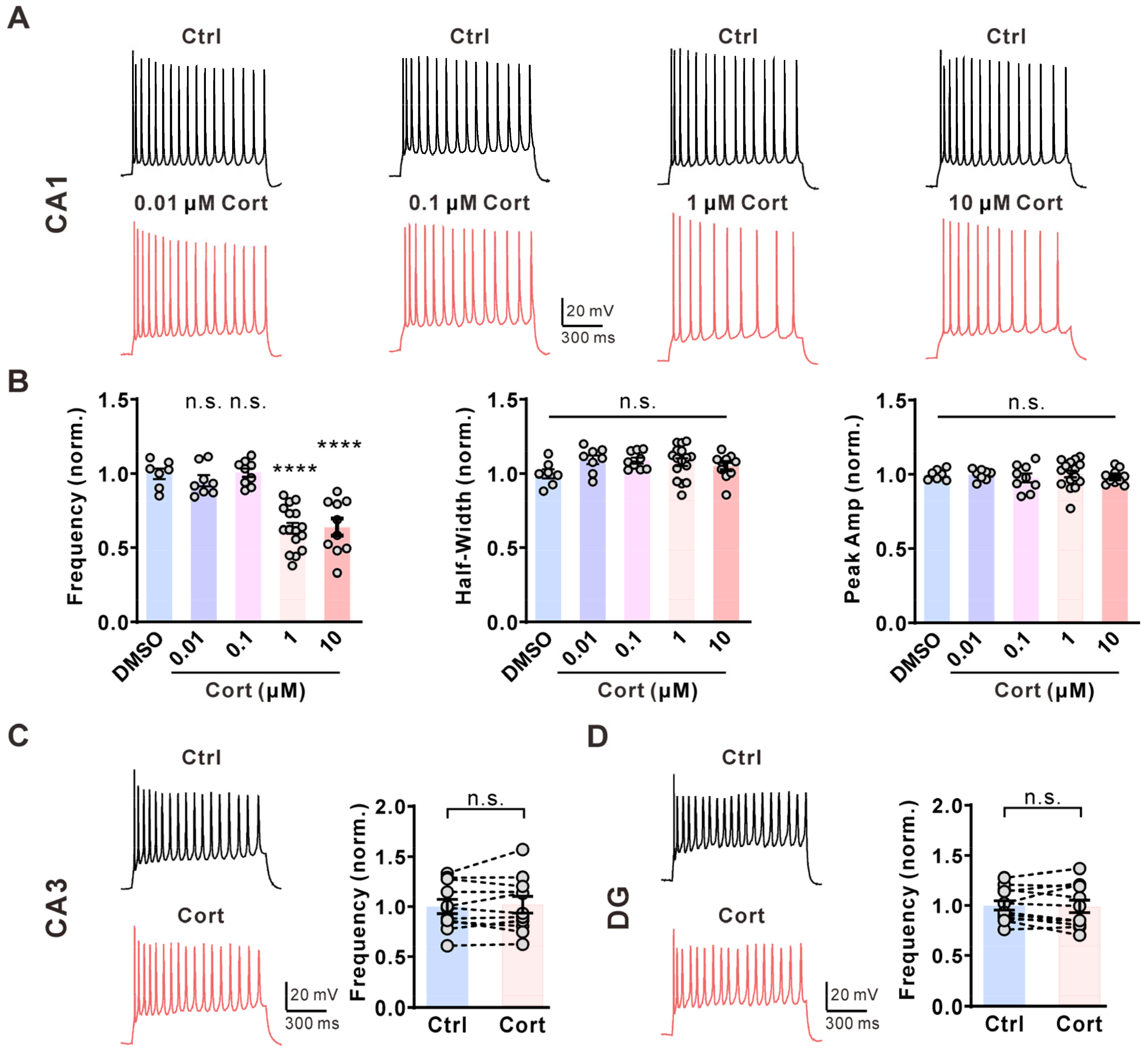 Glucocorticoids Selectively Inhibit Hippocampal CA1 Pyramidal 