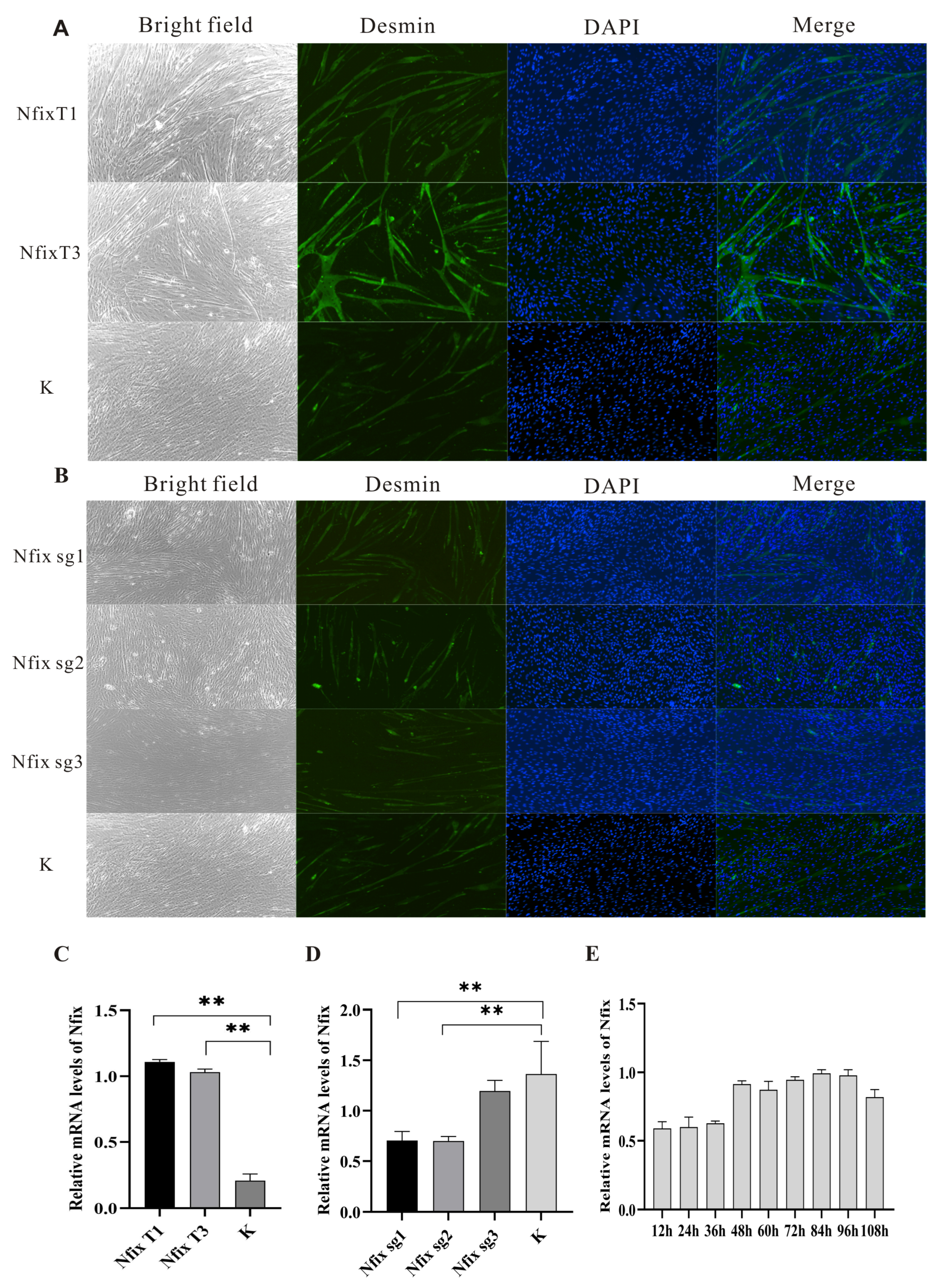 Ijms 25 11988 g004 Ijms 25 11988 g004