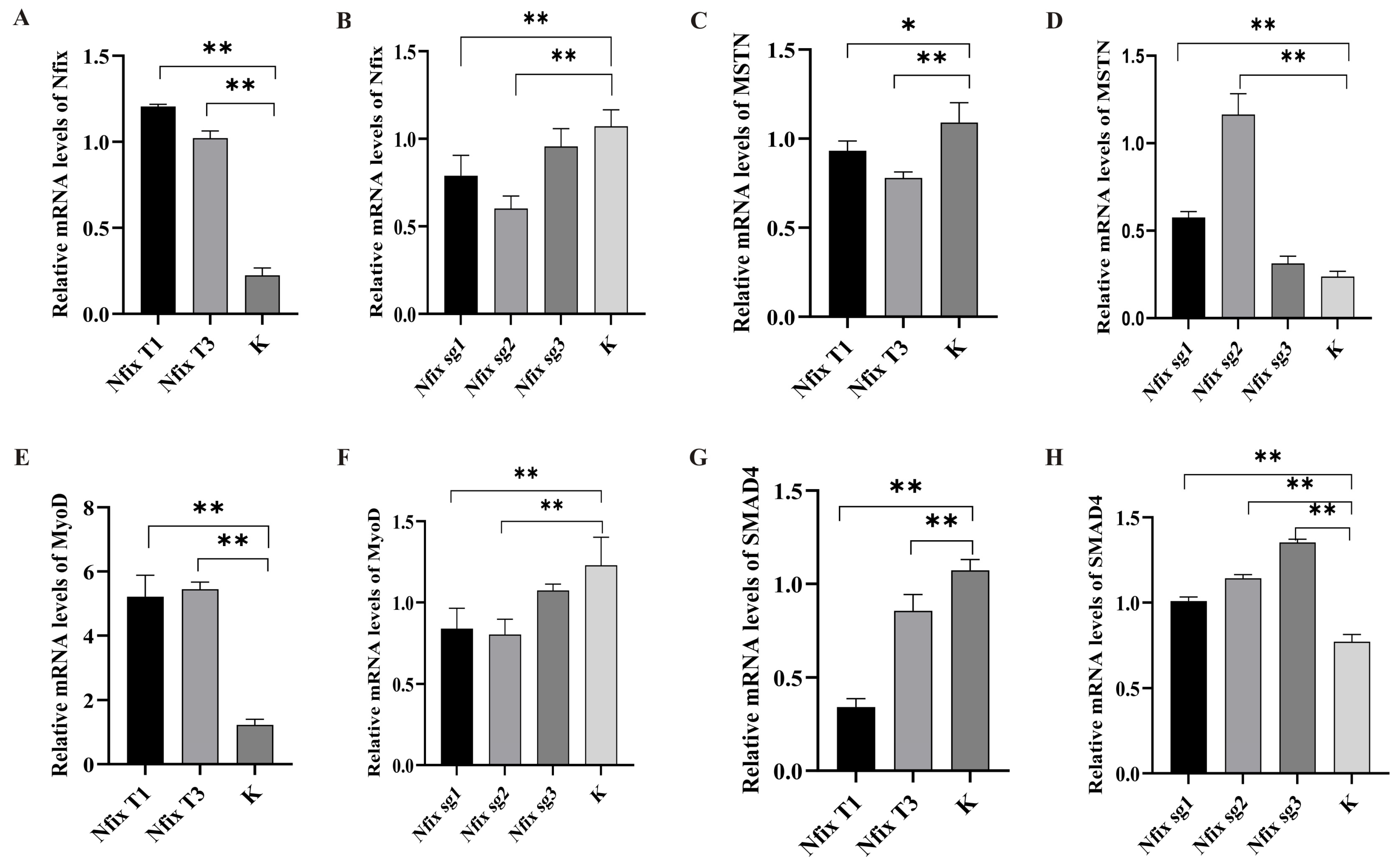 Ijms 25 11988 g006 Ijms 25 11988 g006