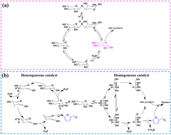 Programmed Cell Death 1 (PD-1) and Cytotoxic T Lymphocyte-Associated  Antigen 4 (CTLA-4) in Viral Hepatitis