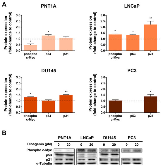 Effect of Diosgenin in Suppressing Viability and Promoting