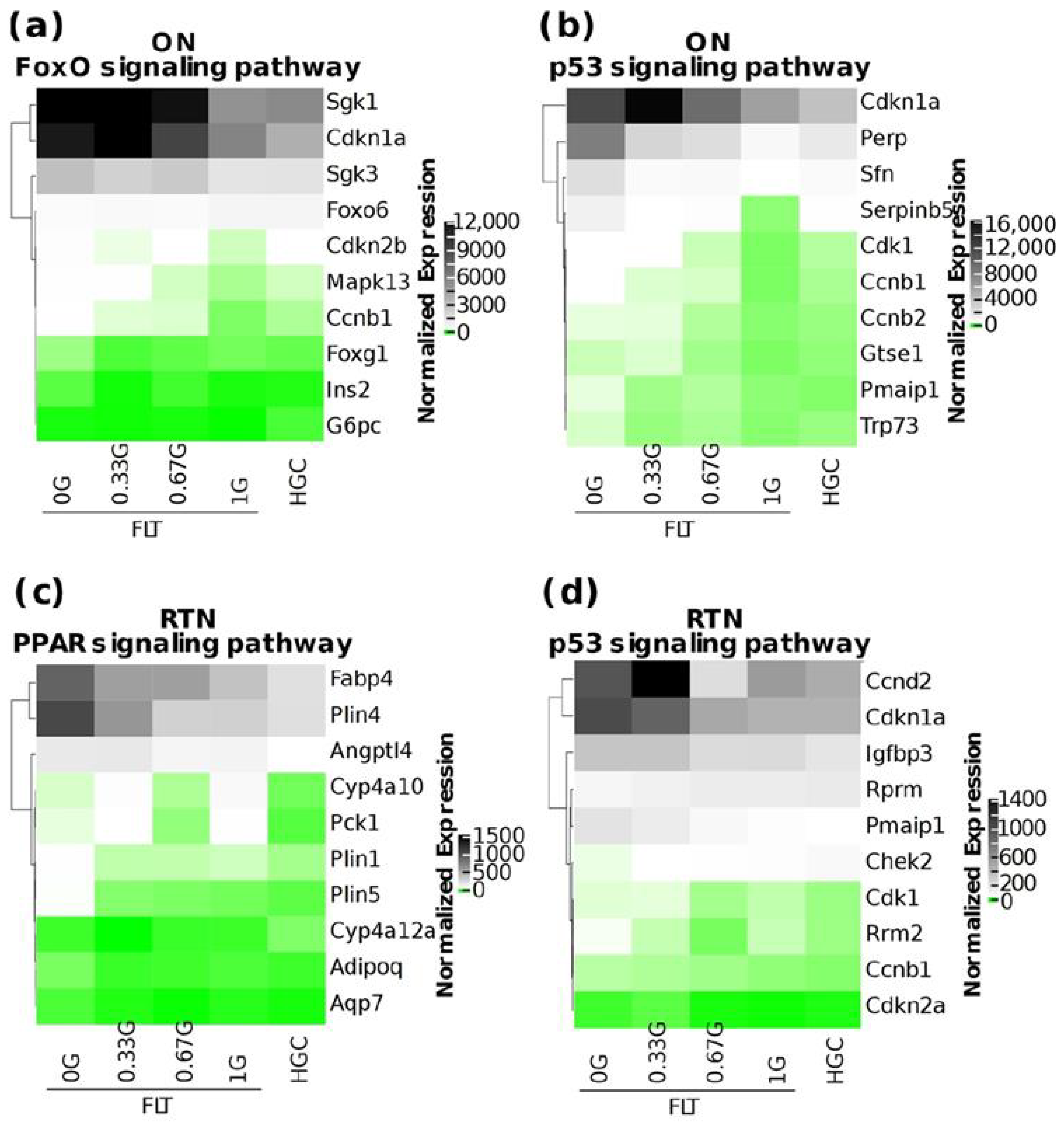 Ijms 25 12041 g004 Ijms 25 12041 g004