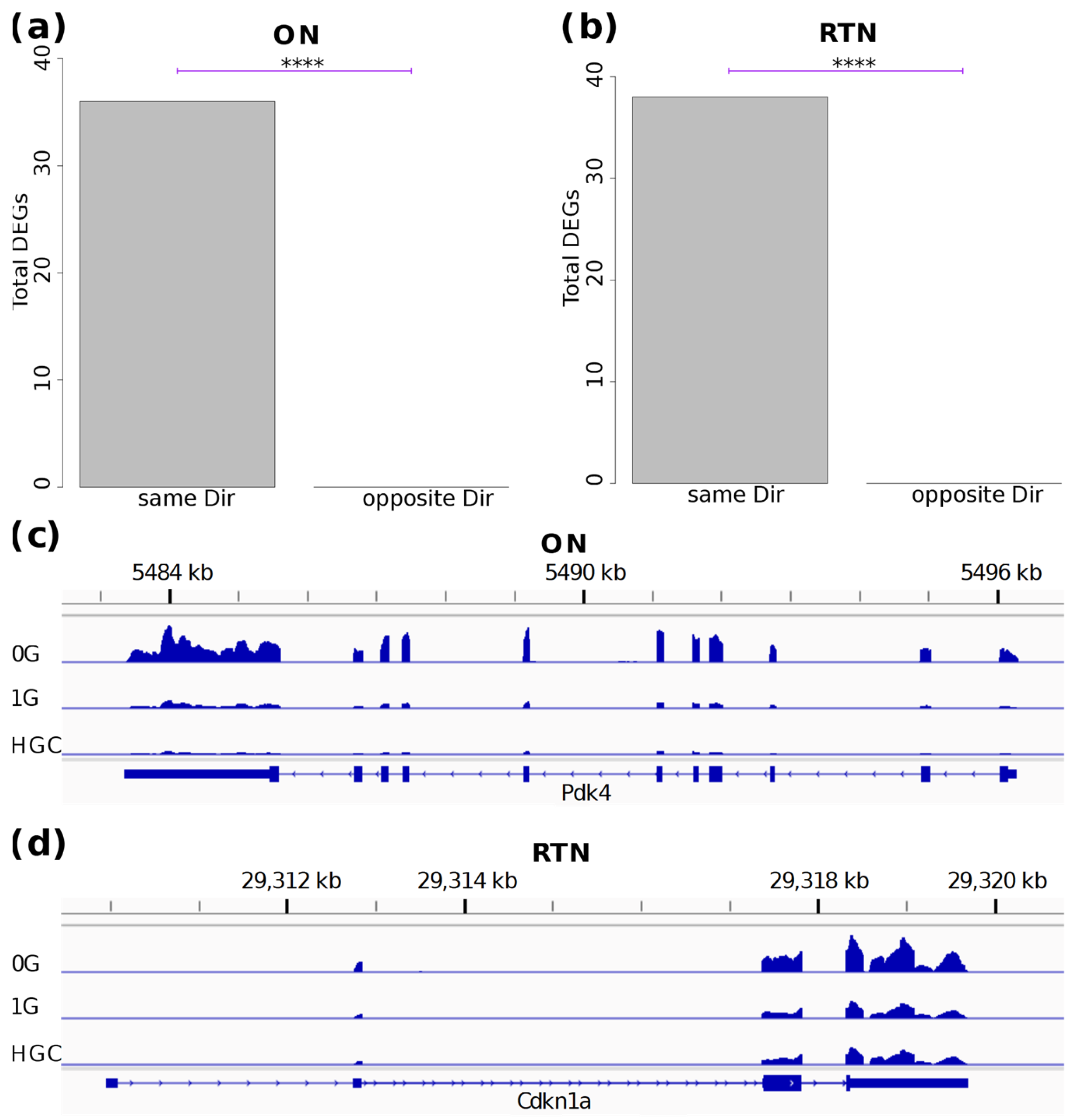 Ijms 25 12041 g005 Ijms 25 12041 g005