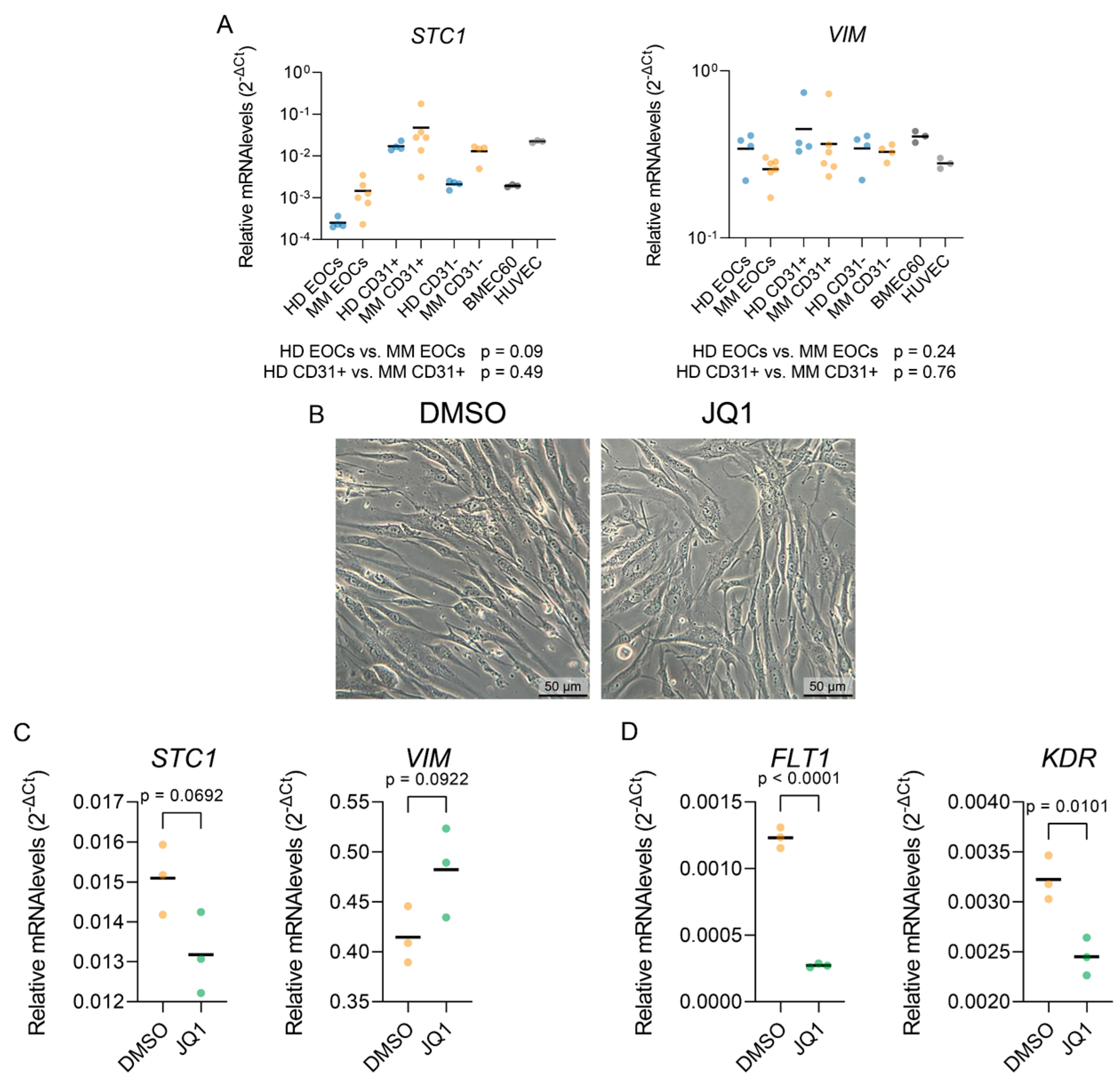 Ijms 25 12047 g006 Ijms 25 12047 g006